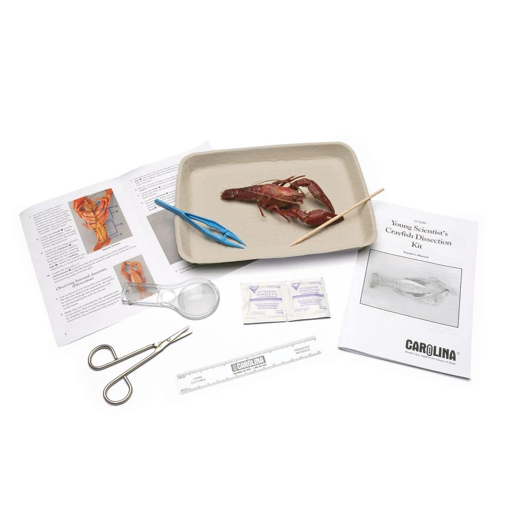 Carolina Biological Supply Young Scientist Crayfish Introductory-Level Dissection Kit - Single Station 1-2 Student Crawfish Anatomy Kit | Includes Teacher’s Manual and Step-By-Step Student Guide