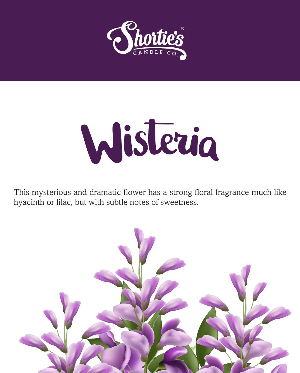 Shorties Candle Company Pure Wisteria Tealight Candles - 12 Pack, Highly Scented, Purple, Model 45133