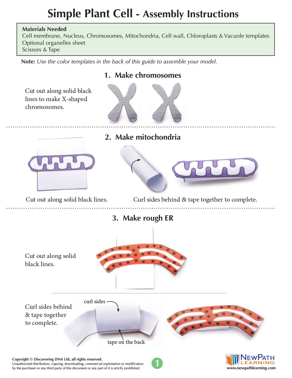 NewPath Simple Plant Cell 3-D Paper Model Making Kit - Individual Student Edition (17-7731)