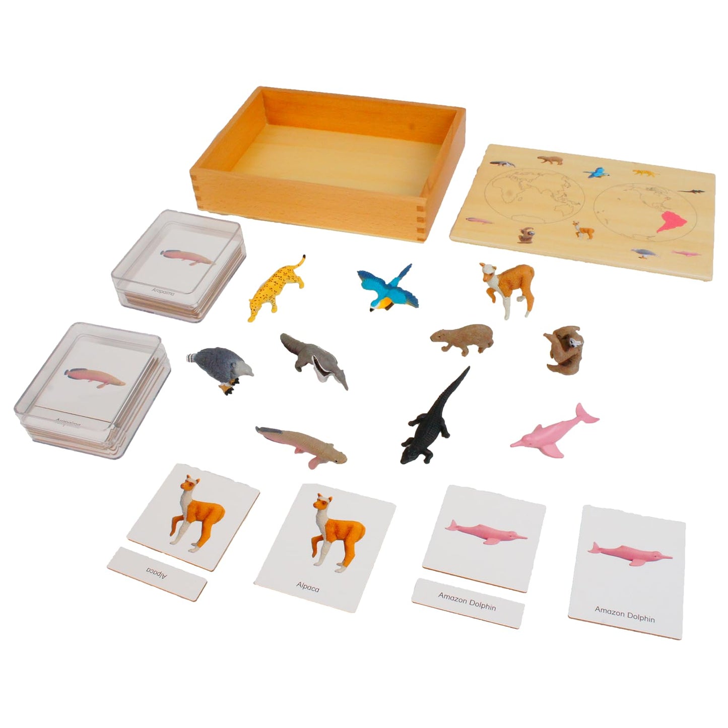 ancona South American Animals, Spanish/English Bilingual, Montessori Preschool Memory Matching Game Box Set with Animal Figurines & 3-Part Cards, Early Education Toy