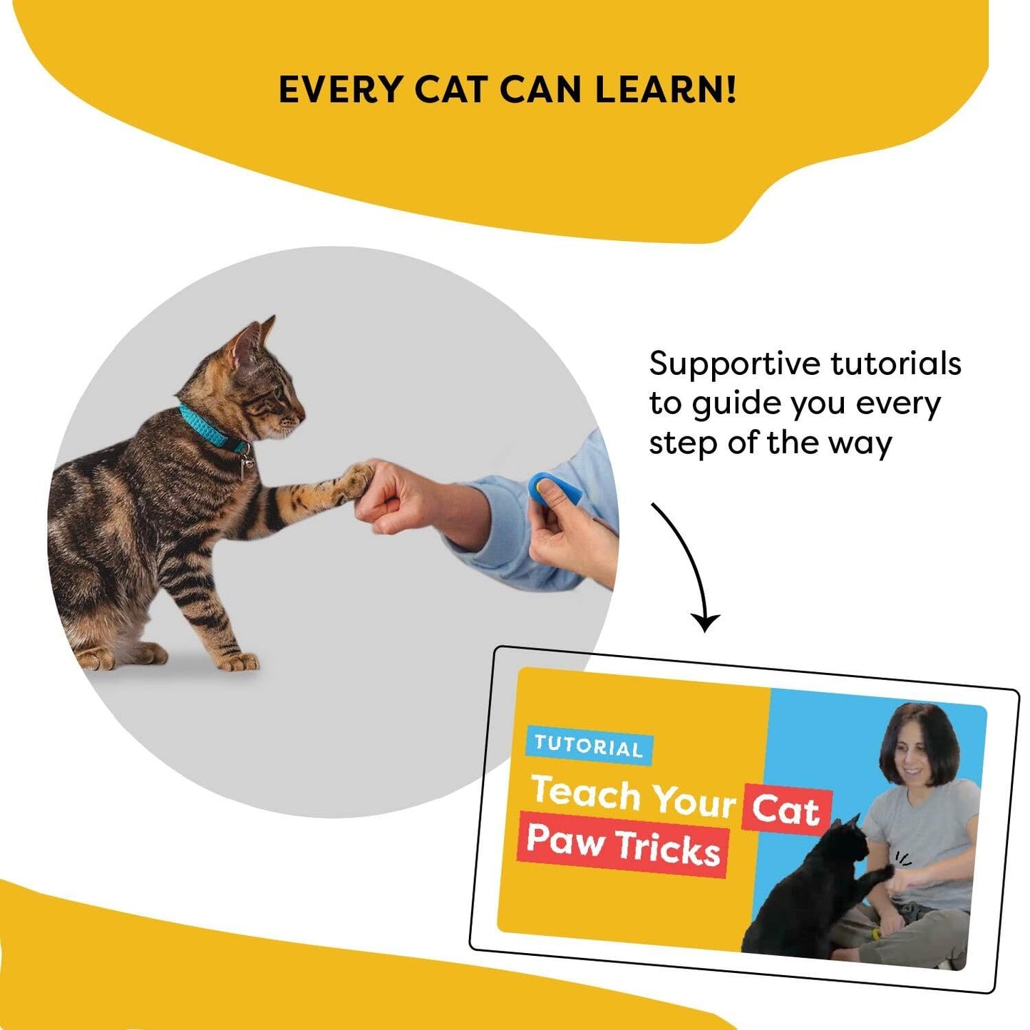 Cat Training Clicker with Detachable Wearable Finger Clicker & Target Stick – Positive Reinforcement Training Tool for Cats – Ideal for Behavior, Tricks & Enrichment