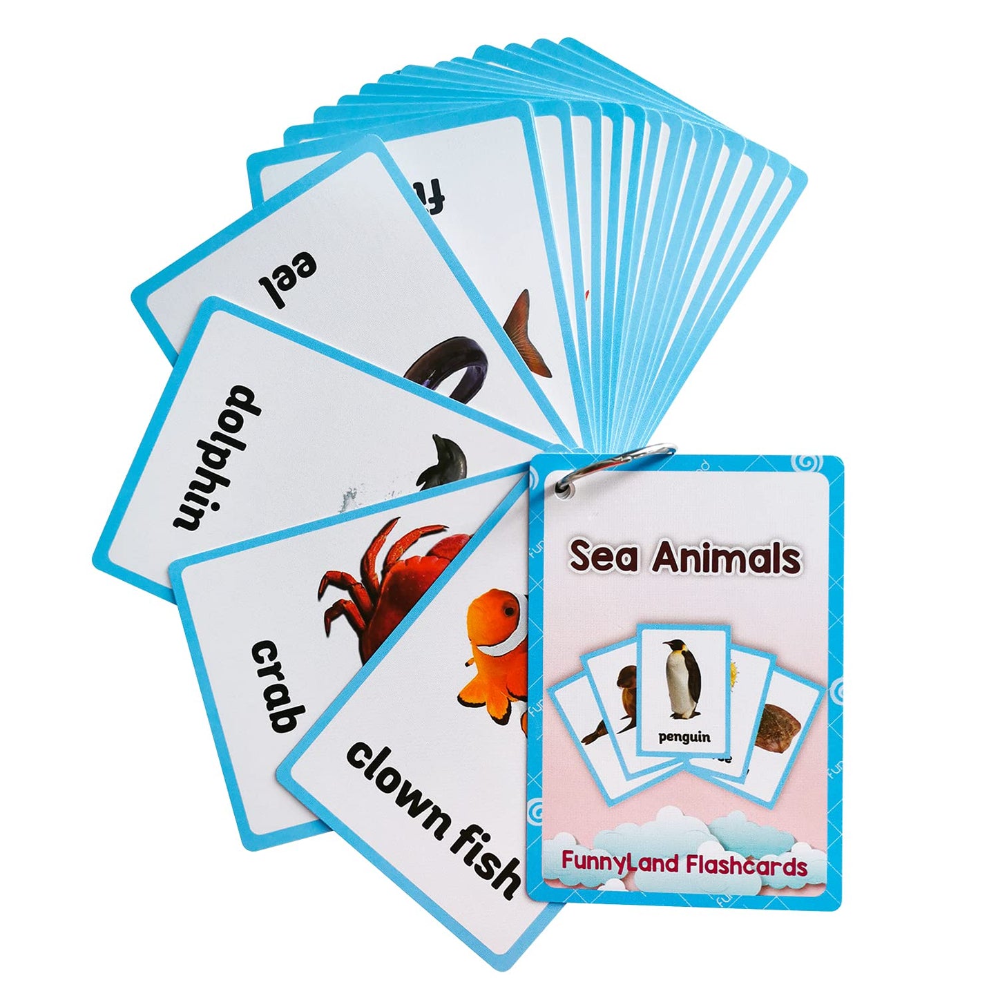 Lilias Wild Animals / Farm Sea Flash Cards, English Words Learning Pocket Card for Toddlers, Toddler Toys, Supplies Kindergarten Preschool, 3 Themes Set, WC007,008,009