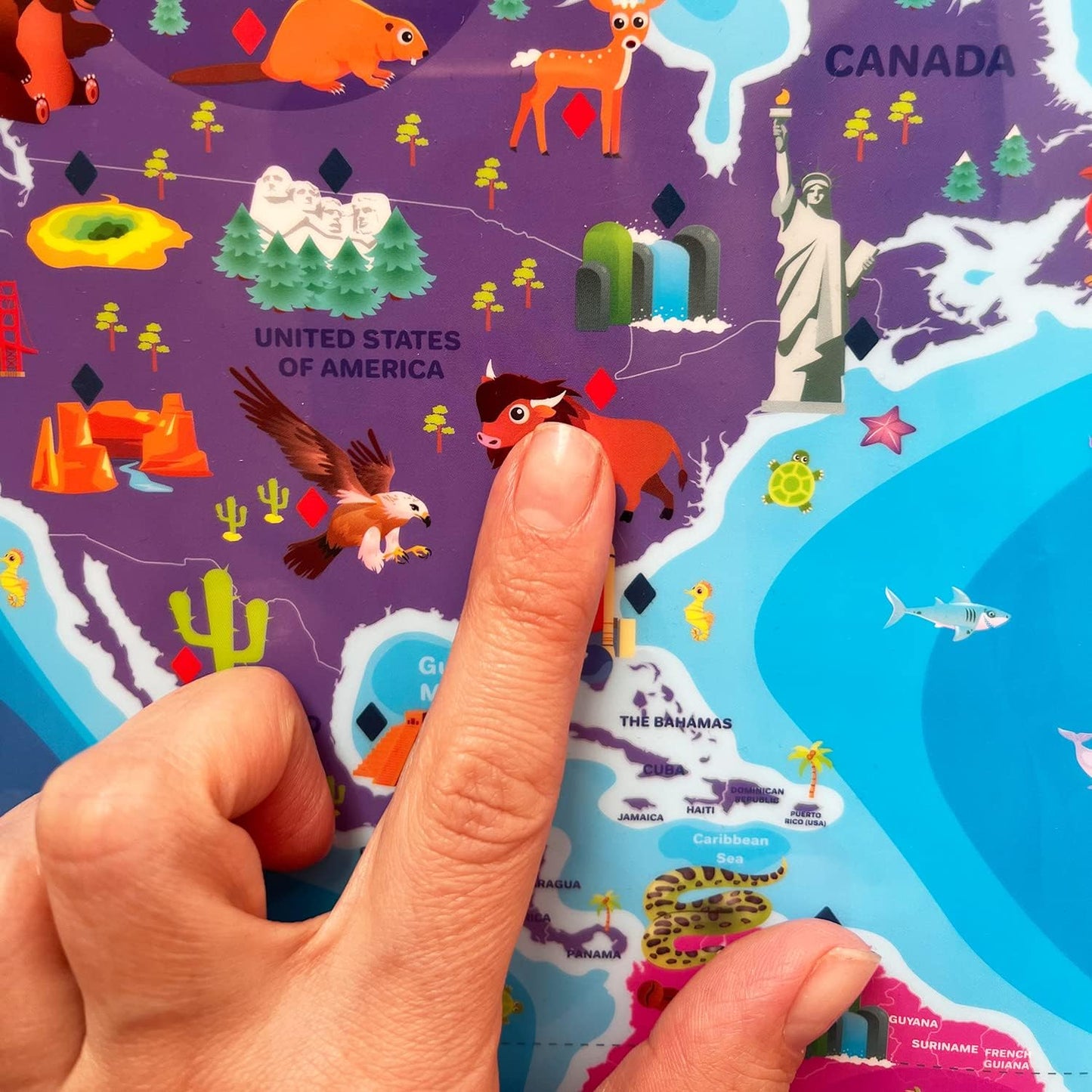 QUOKKA Educational Toys for Kids 5-7 Year Old - USA World Maps Puzzle Learning Wall Chart for Toddlers Age 3 4 6+ - Interactive Speech Therapy Poster Boy Girl - Autism Geography Puzzle Game 8-10-12