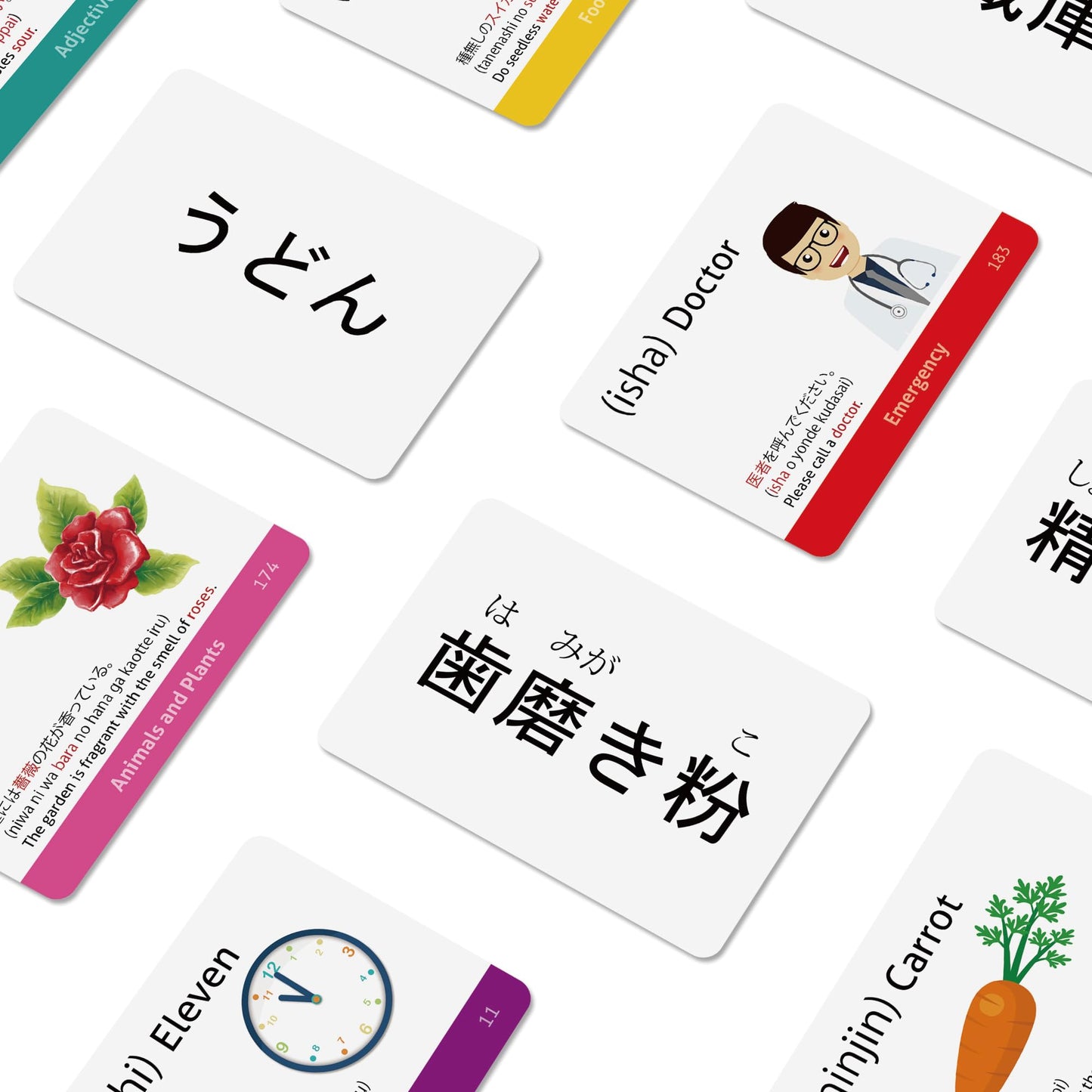 Japanese Vocabulary Flash Cards for Beginners (with Illustrations and Example Sentences), Standard Playing Card Size, Sturdy, Water Resistant