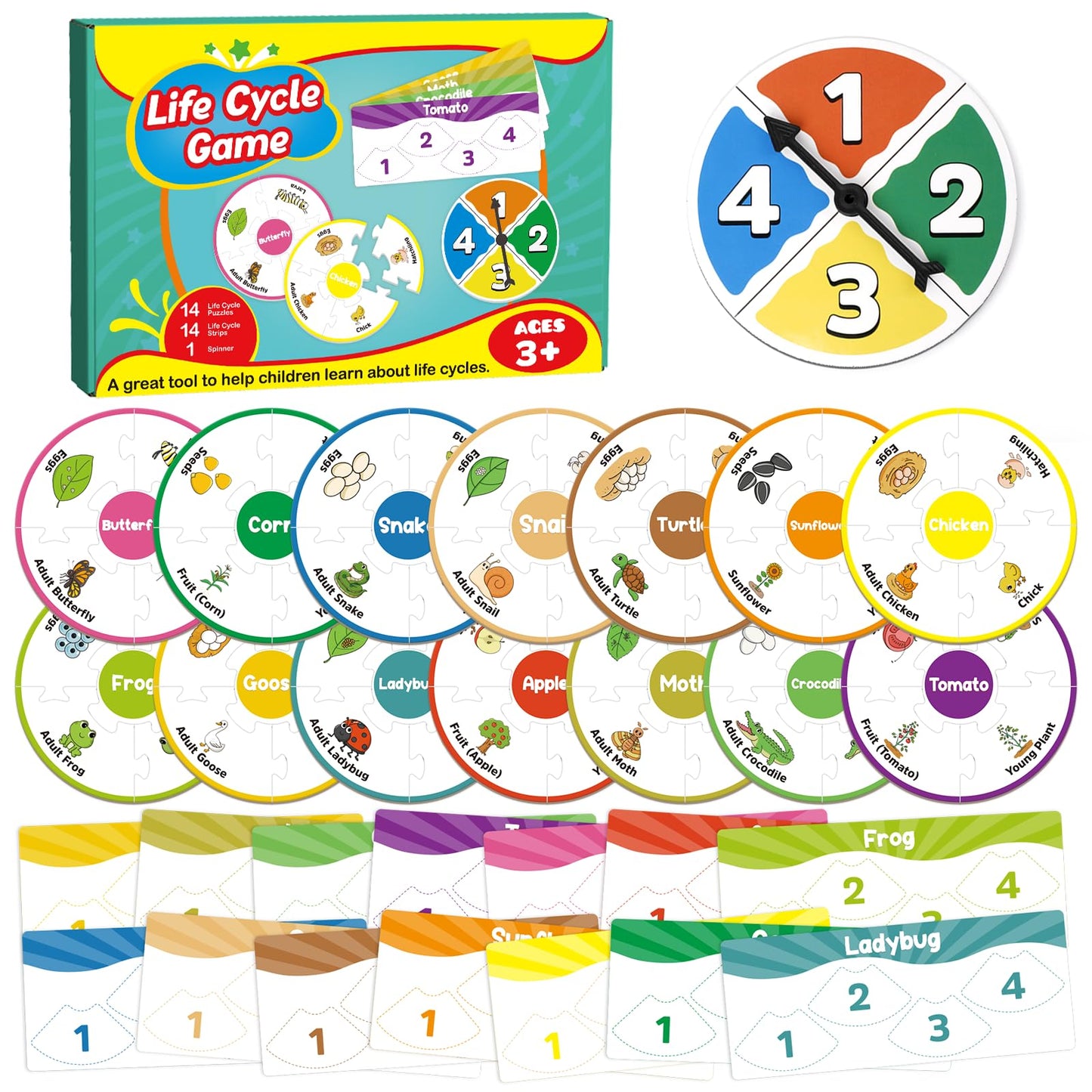 Edulok Life Cycle Toys for Kids, Toddler Puzzles, Preschool Science Kits for Kids 3-5, Kindergarten Learning Activities, Learning Education Toys, PreK Classroom Essentials, Homeschool Supplies