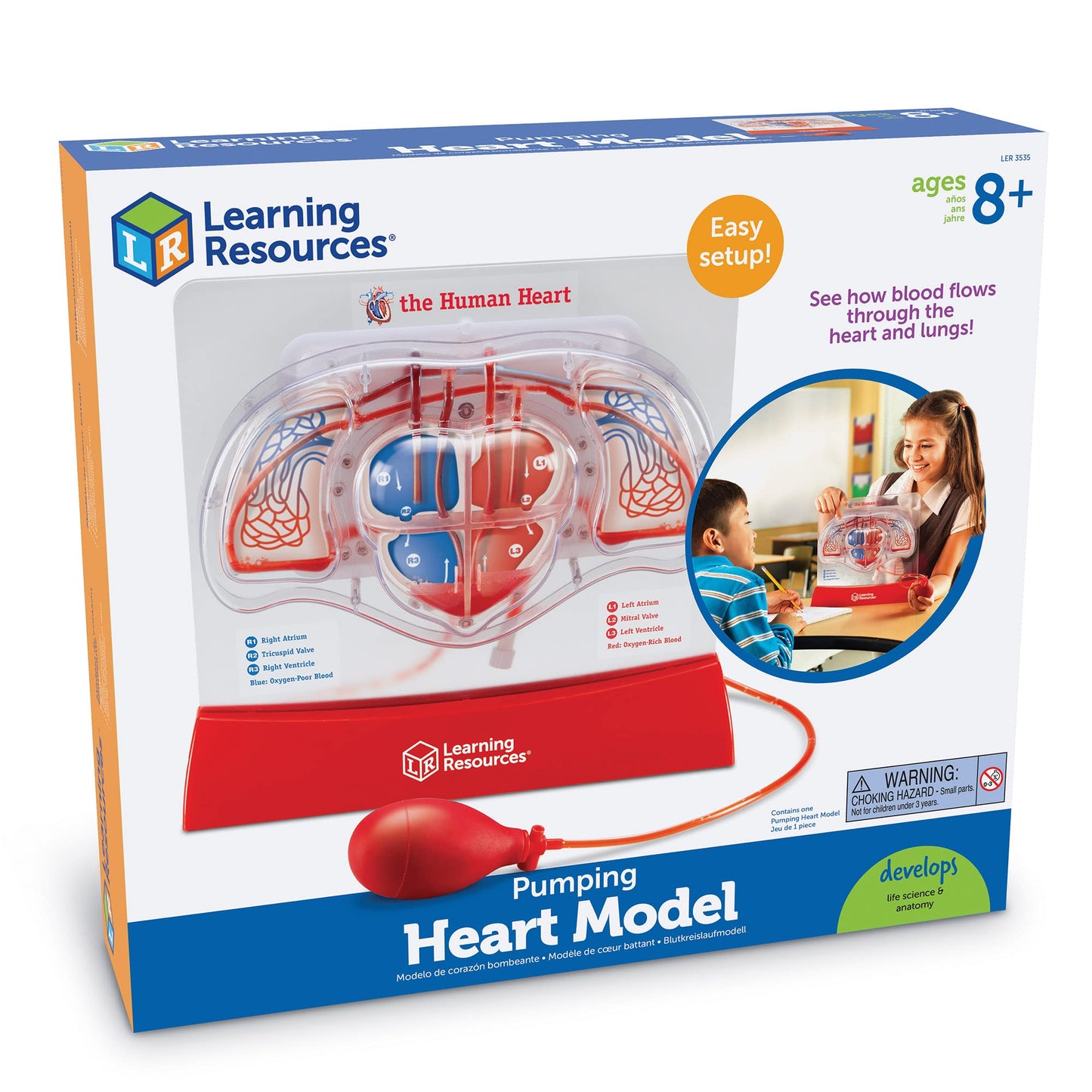 Learning Resources Pumping Heart Model - Science Classroom Must Haves, STEM Student Essentials, Practice Anatomy, Cardiology Artery and Veins Study Tools, Back to School Supplies for Teachers