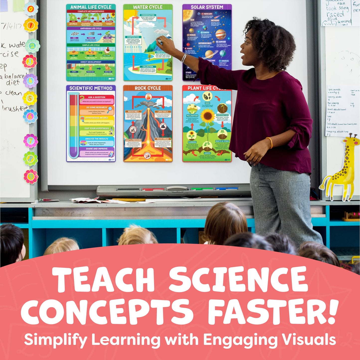 Science Posters for Classroom Middle School Elementary School - 12pc Science Classroom Decor Must Haves Posters Decorations - 17” x 11” - Scientific Method, Solar System, Matter, Animal Kingdom