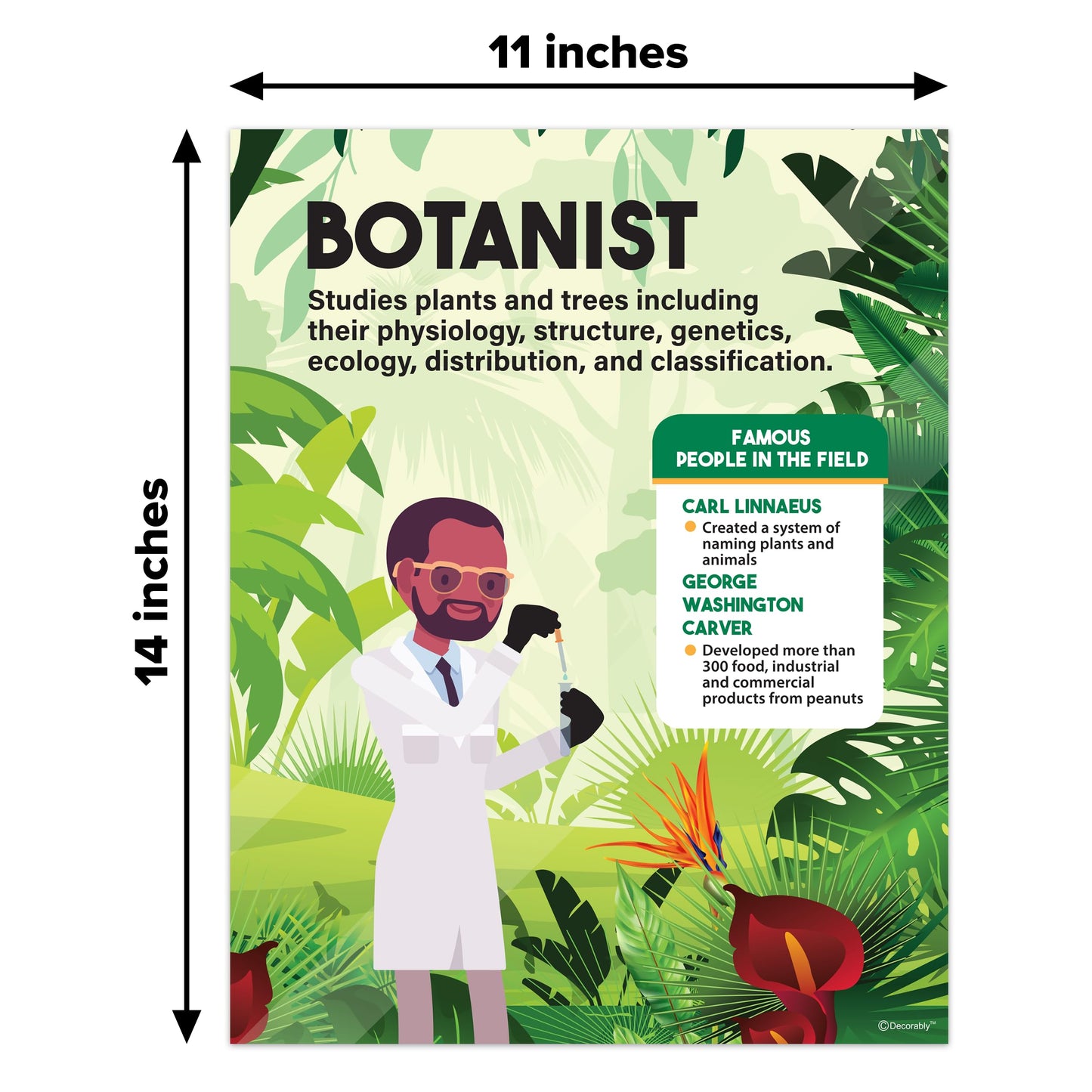 Decorably 16 Career in Science Posters for Classroom Middle School, 11x14in Matte-Laminated Educational School Decor - Hallways, Bulletin Boards, Home Study Room