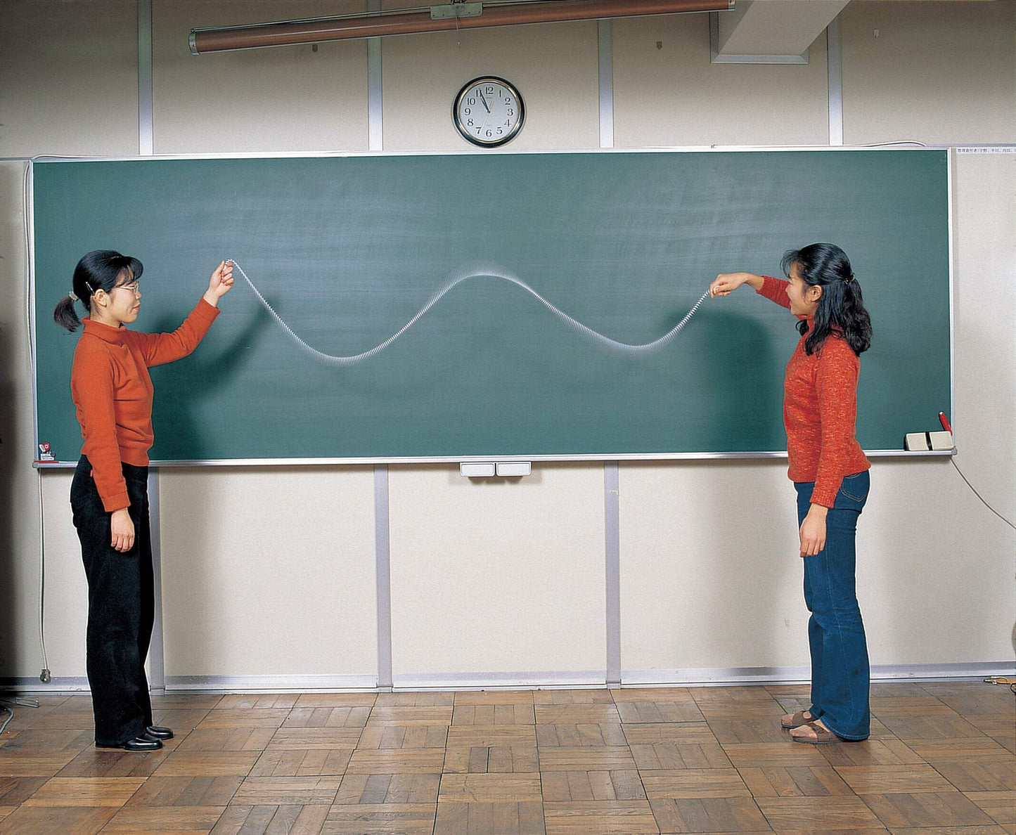 GSC International N-00007 Wave Generation Spring for Physics Classroom Modeling and Equipment.