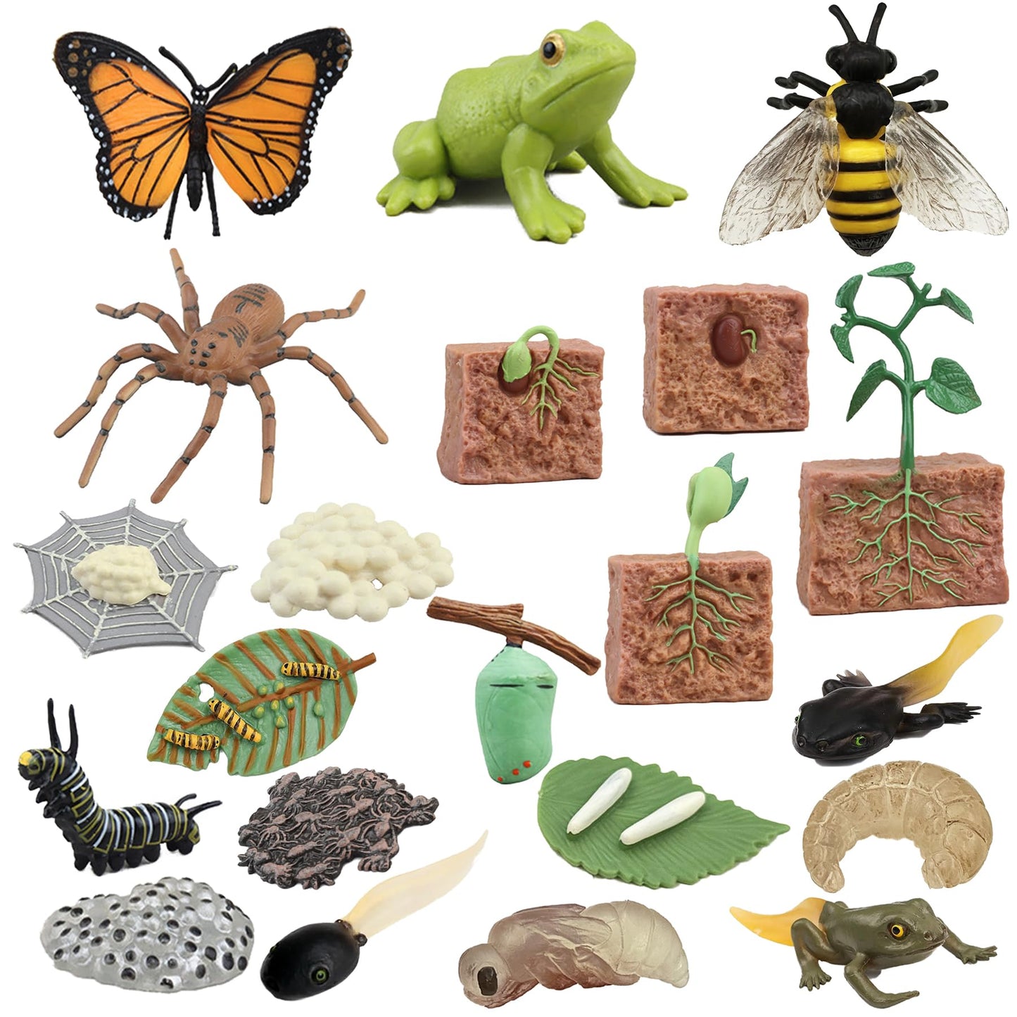 Mbrain 4pcs Butterfly Growth Cycle with Flash Cards,Life Cycle Learning & Education Toys,Montessori Toys,Gift for Girl & Boy for 3 4 5 6 7 Year Old (Butterfly)
