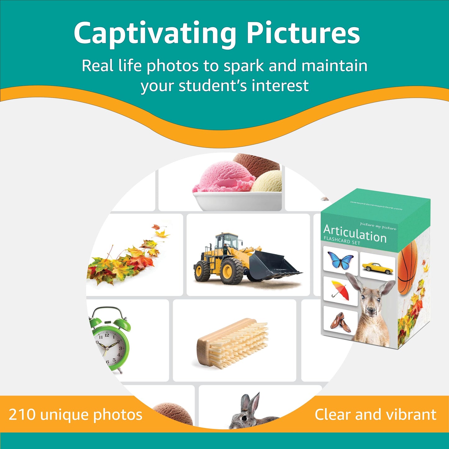 Picture My Picture Articulation Flash Card Set – Speech Therapy Tool for Vocabulary, Communication & Thinking, Scratch-Resistant with Activity Guide, Suitable for Education, ESL & ABA – Set of 210