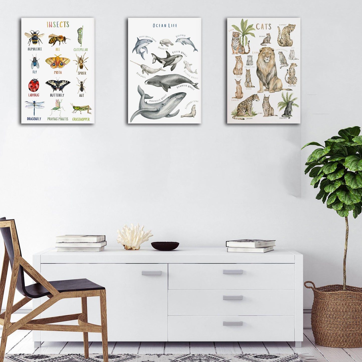 BOLNEY Set of 6 Educational Posters - Kids Wall Art: Wild Animals, Woodland Animals, Birds, Insects, Ocean Life (No Frame, 20x30cm-6pcs)