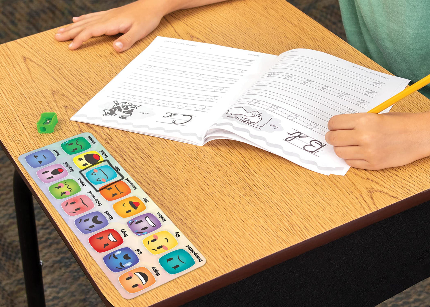 Teacher Created Resources Social-Emotional Mood Meters (TCR6052)