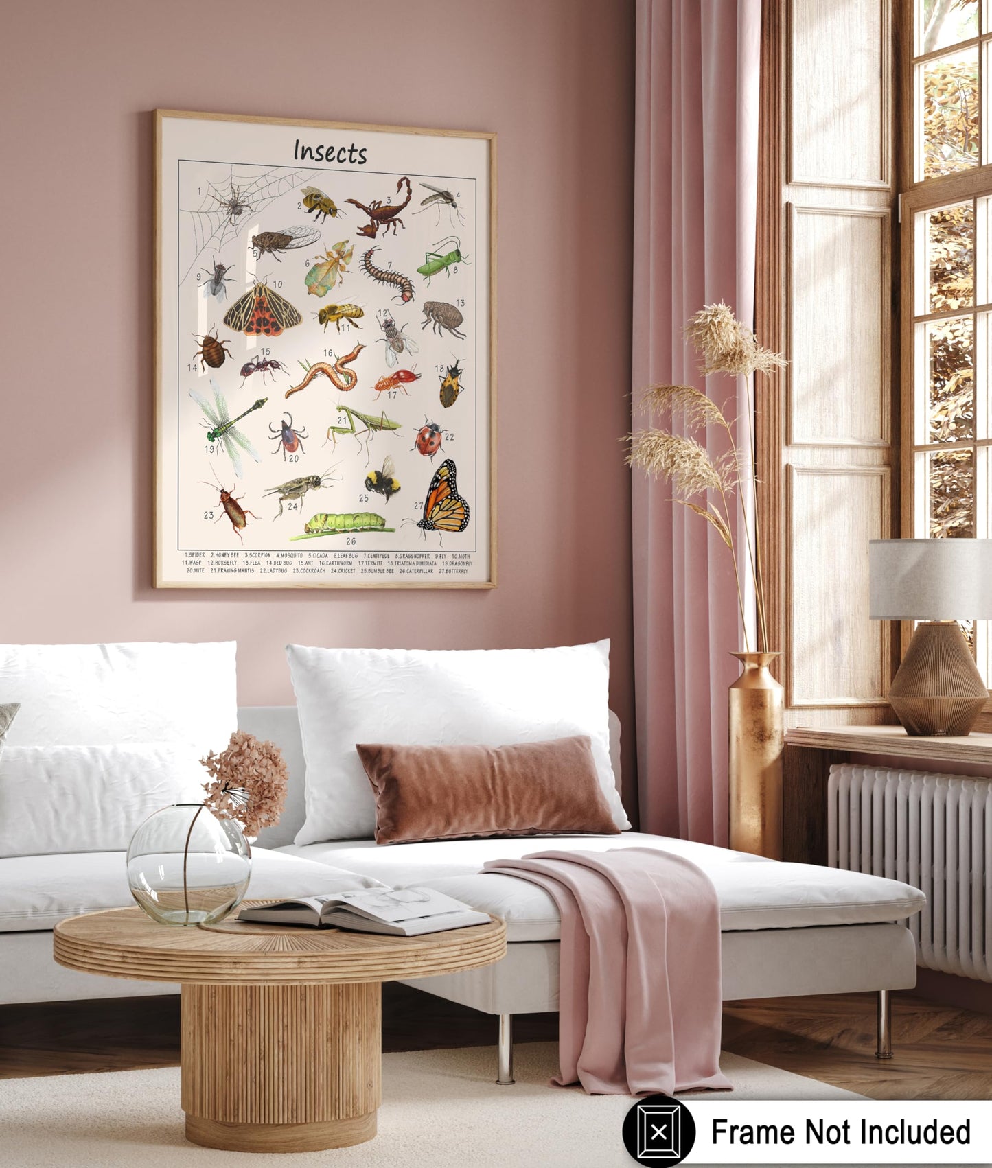 Poster Master Insects Poster - Educational Print - Learning Materials Art - Animal Art - Gift for Kids, Students & Teacher - Great Decor for Playroom, Classroom or Library - 8x10 UNFRAMED Wall Art