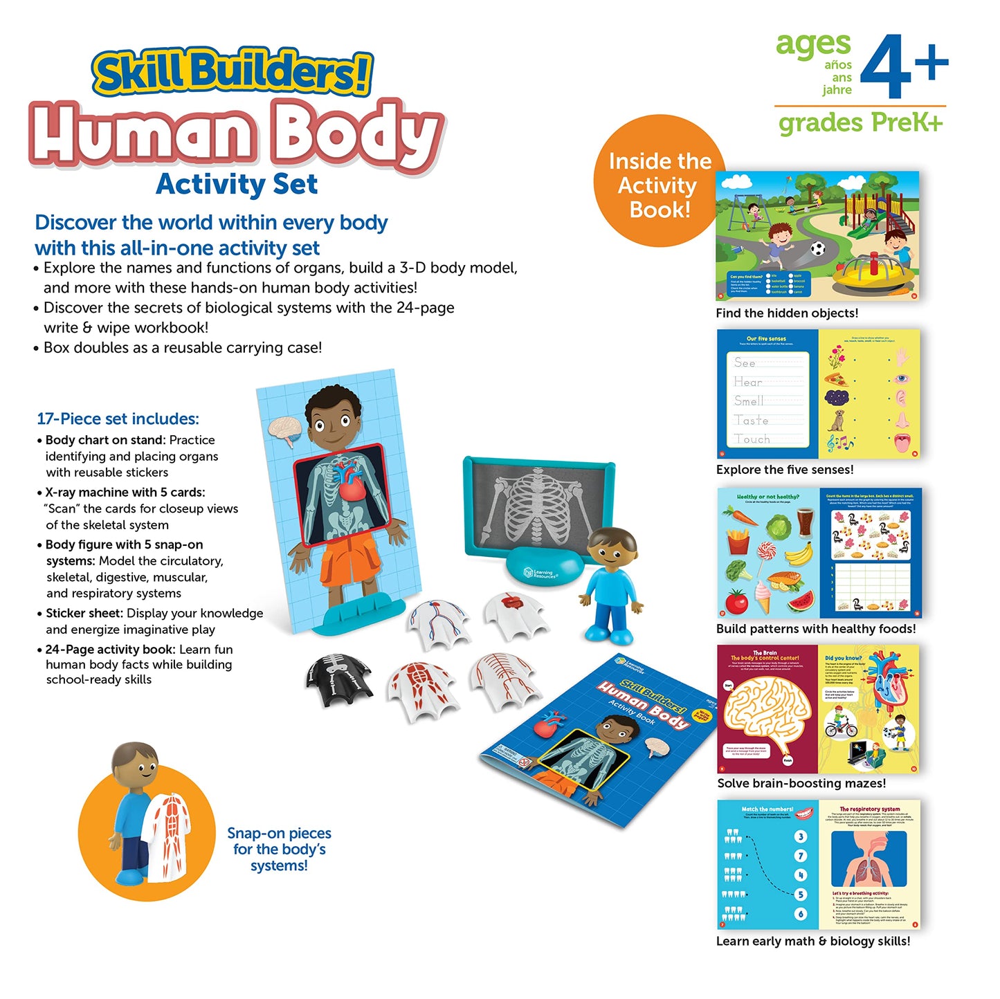 Learning Resources Skill Builders! Human Body Activity Set - Anatomy and Science Classroom Must Haves, STEM Study Tools, Back to School Kits, Homeschool Gifts for Students