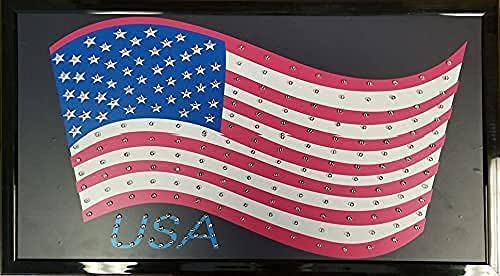 EEZ RV Products LED American Flag Sign, 21.5in x13in , Nylon, 4th of July Decoration, Flashing Light, RV Window Decor