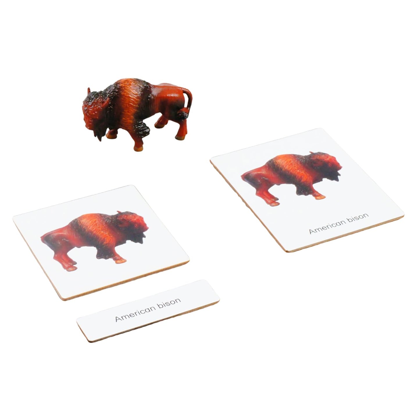 ancona North American Animals, Spanish/English Bilingual, Montessori Preschool Memory Matching Game Box Set with Animal Figurines & 3-Part Cards, Early Education Toy