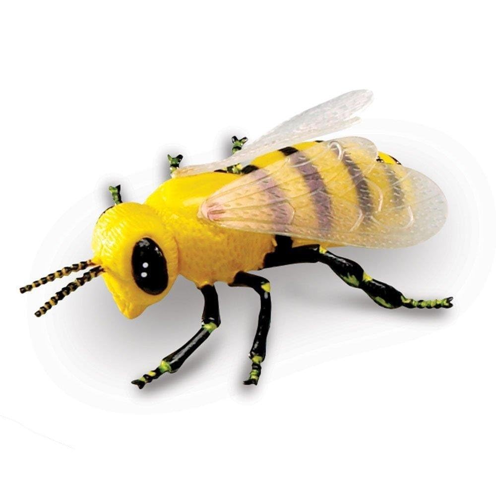 Learning Resources Jumbo Insects - Animal Toys for Kids, Toddler Preschool Science, Fine Motor Skills, Gifts for Boys and Girls, Ages 3+