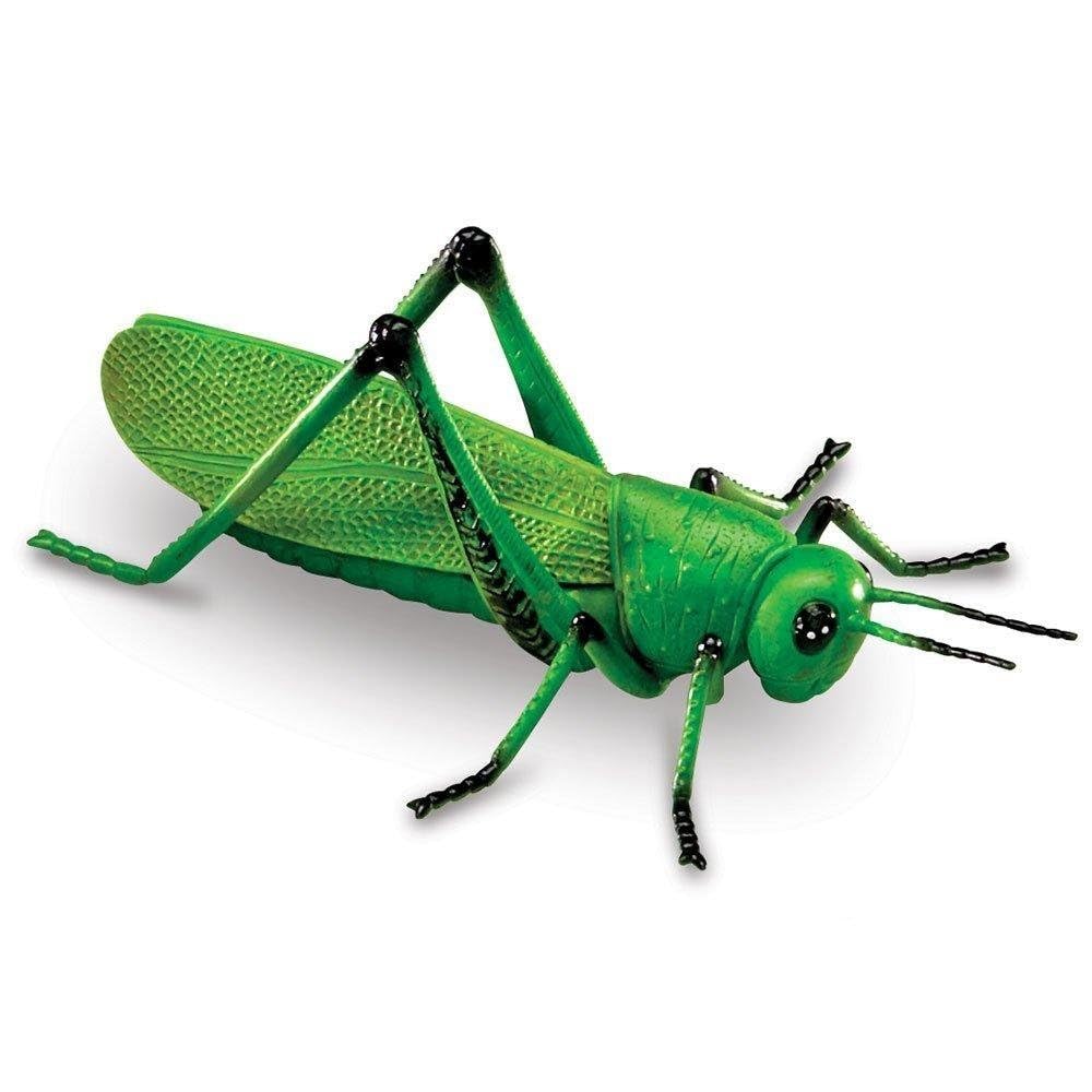 Learning Resources Jumbo Insects - Animal Toys for Kids, Toddler Preschool Science, Fine Motor Skills, Gifts for Boys and Girls, Ages 3+