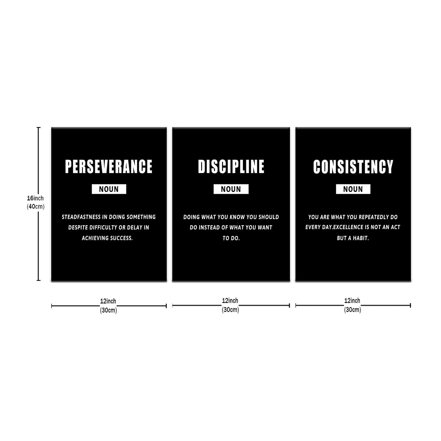 PSYYSP 3 Piece Canvas Wall Art Perseverance Discipline Consistency Posters, Black White Motivational Triptych Wall Decor for Office, Bedroom, Dorm, Framed Canvas 36x16inch