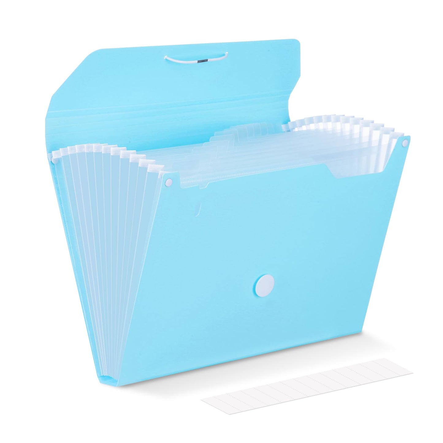 Comix Accordion File Organizer, 13 Pocket, Blue