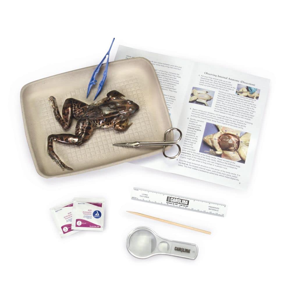 Carolina Biological Supply Young Scientist Frog Dissection Kit - Single Station 1-2 Student Frog Anatomy Kit | Teach Students Anatomy Hands-On | Includes Free Teacher and Student Digital Resources