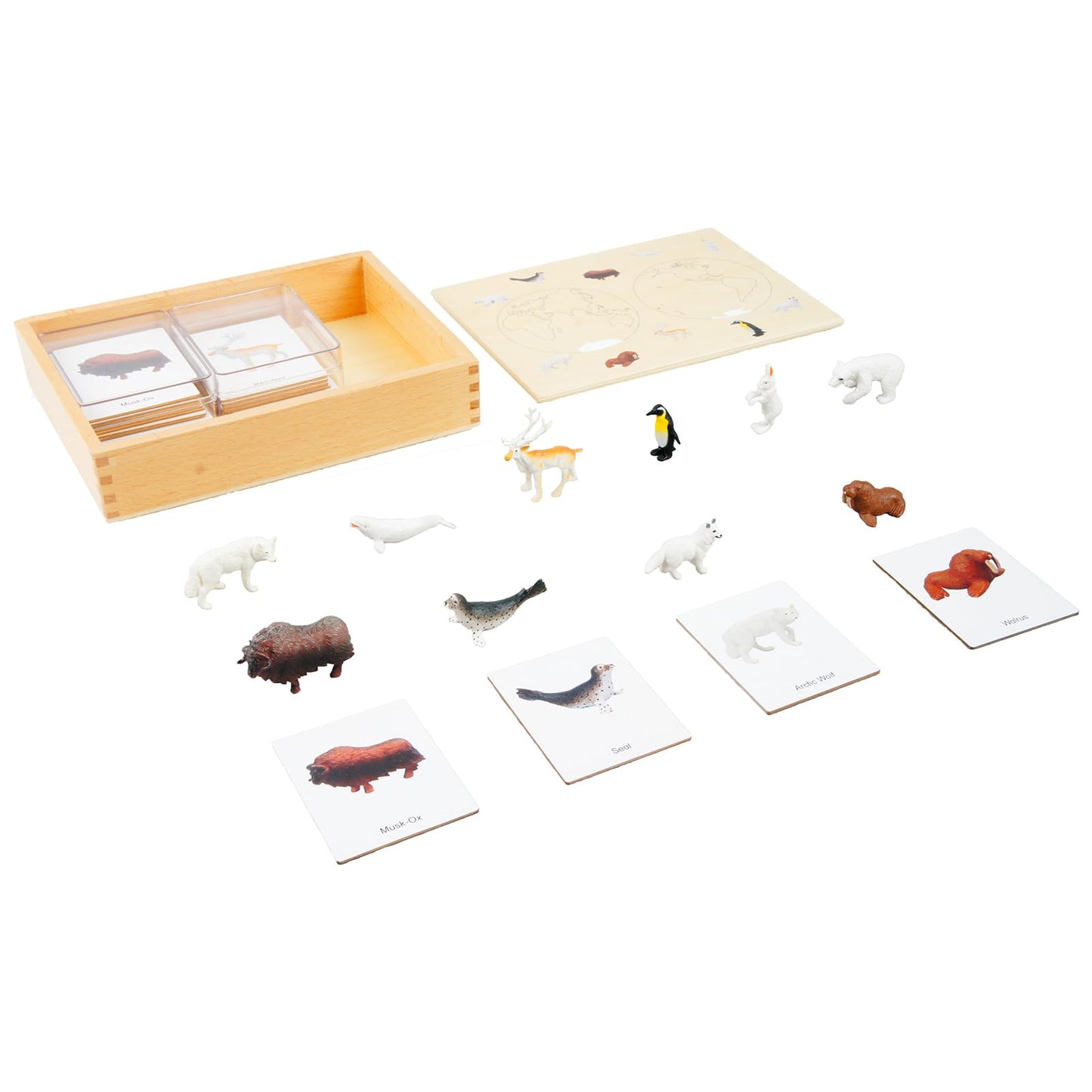 ancona Antarctic Animals, Spanish/English Bilingual, Montessori Preschool Memory Matching Game Box Set with Animal Figurines & 3-Part Cards, Early Education Toy