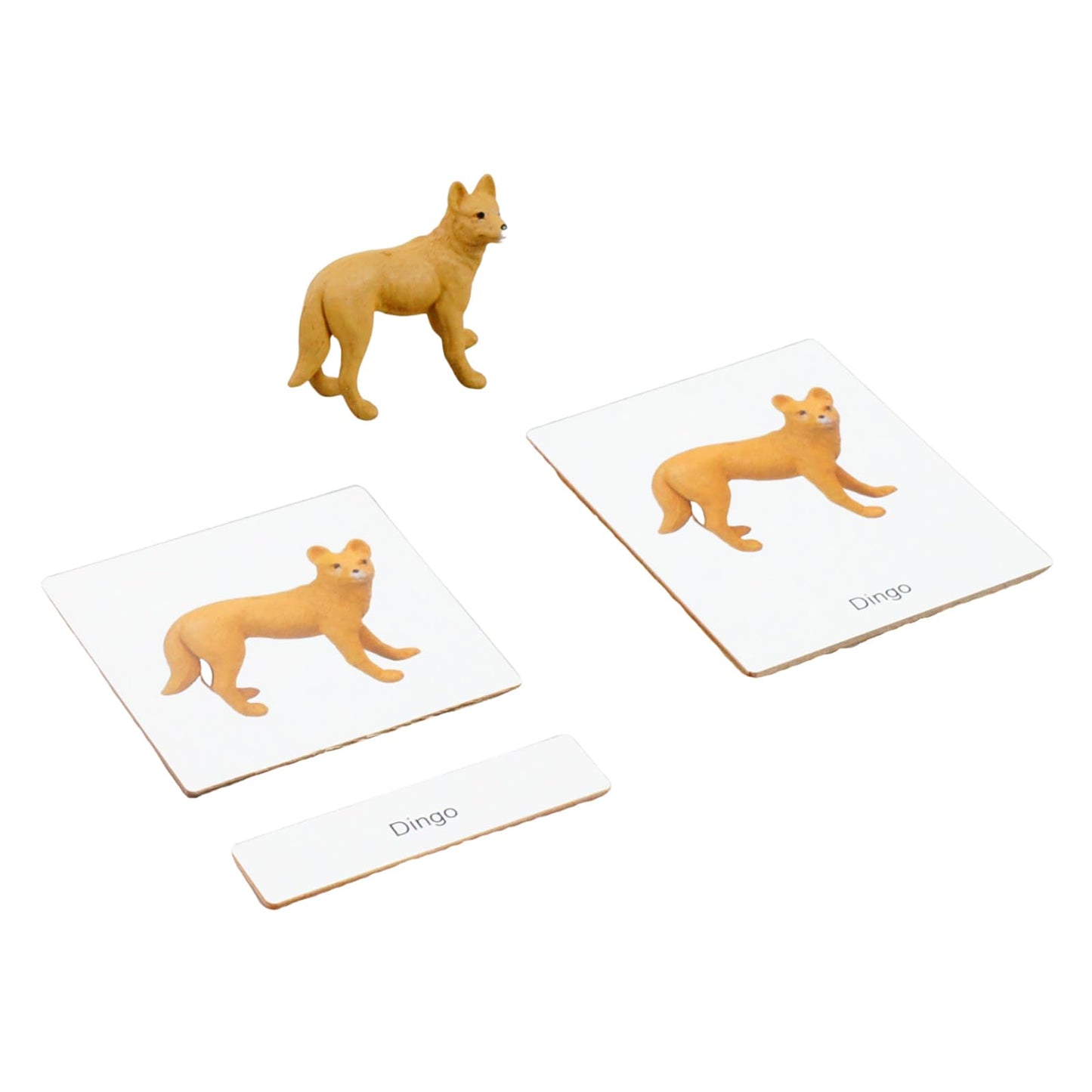 ancona Australian Animals, Spanish/English Bilingual, Montessori Preschool Memory Matching Game Box Set with Animal Figurines & 3-Part Cards, Early Education Toy