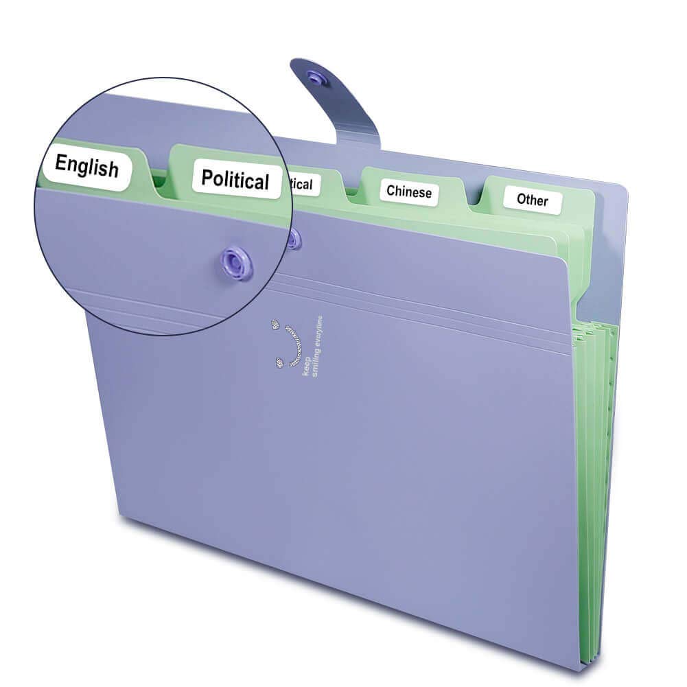 Selizo 6 Pcs Expanding File Folder with 5 Pockets Organizer Plastic A4 Size and 168 Pcs File Folder Labels for School Teacher and Office
