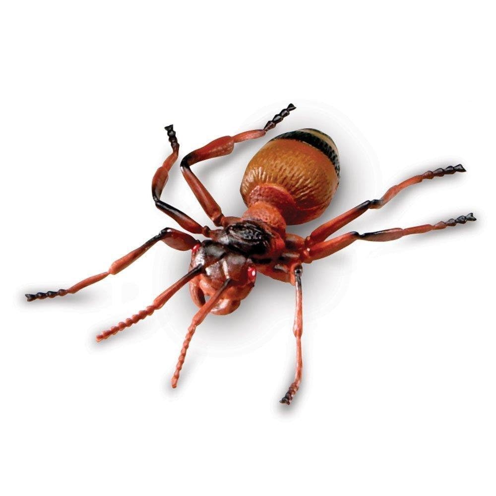 Learning Resources Jumbo Insects - Animal Toys for Kids, Toddler Preschool Science, Fine Motor Skills, Gifts for Boys and Girls, Ages 3+