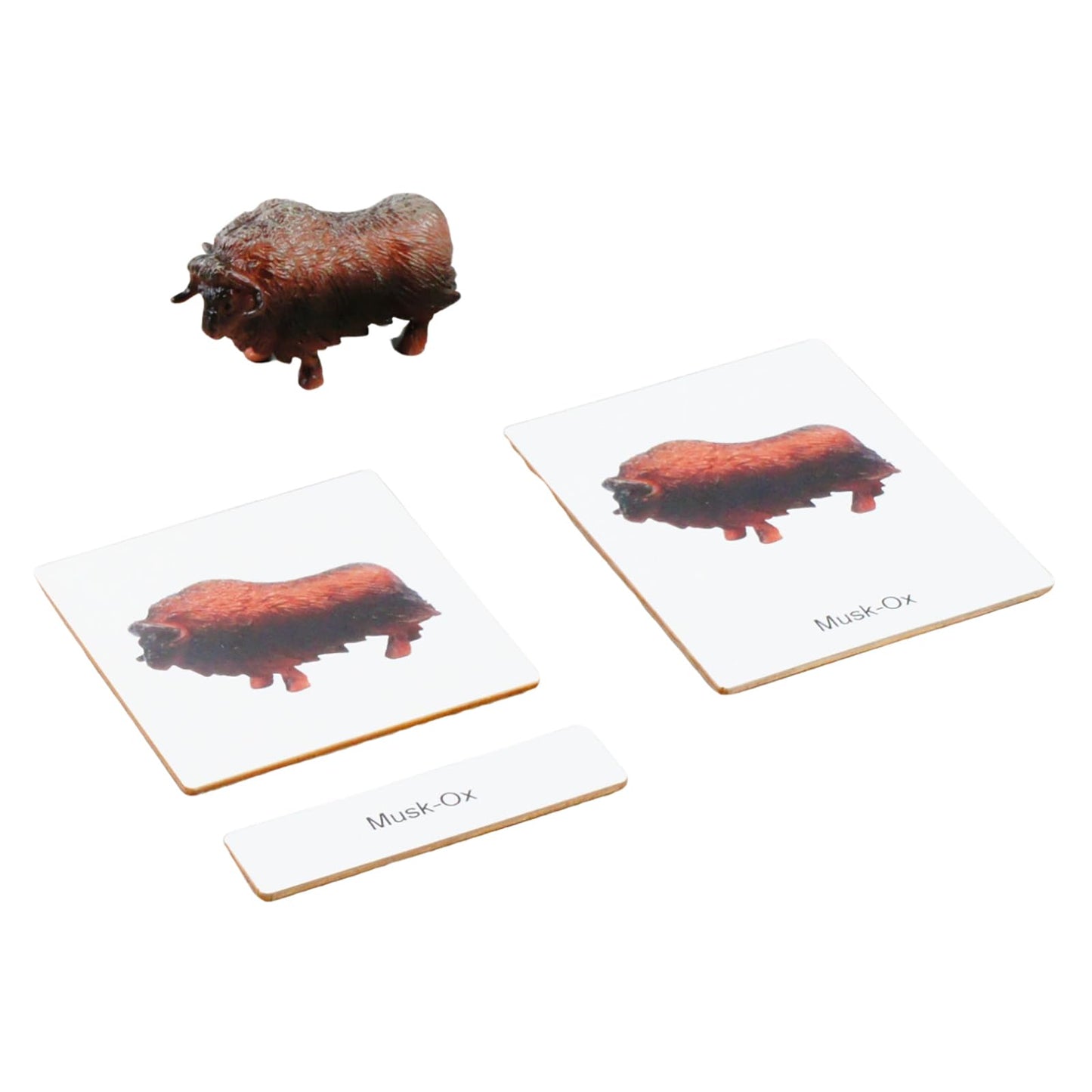 ancona Antarctic Animals, Spanish/English Bilingual, Montessori Preschool Memory Matching Game Box Set with Animal Figurines & 3-Part Cards, Early Education Toy