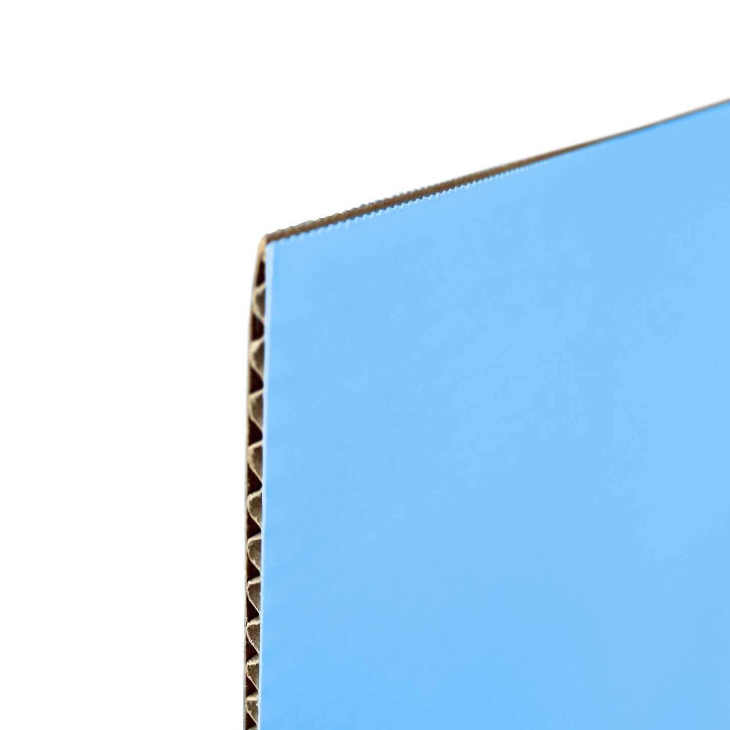 Flipside Products 36” x 48” Project Boards for Presentations, Science Fair, School Projects, Event Displays and Trifold Picture Board, Proudly Made in USA - Sky Blue - 10 Pack