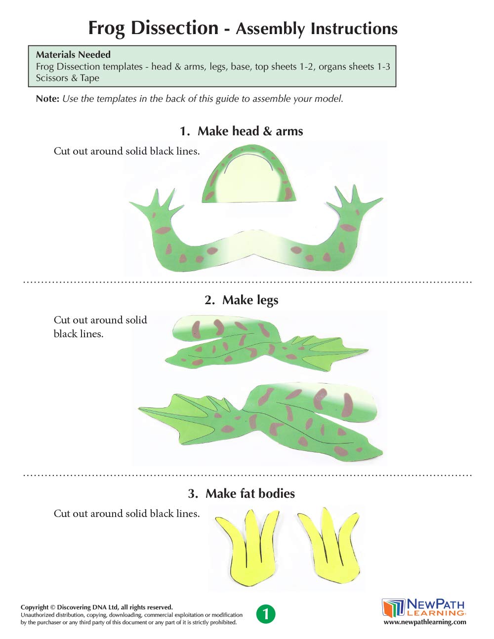 NewPath Learning Frog Dissection 3-D Paper Model Making Kit, Set/5 Full-Color, Paper Model Templates & Teacher Guide (24-7722)