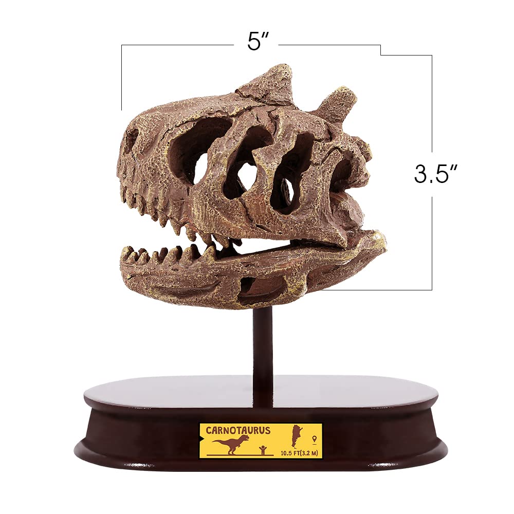 ArtCreativity Dinosaur Excavation Kit for Kids, Carnotaurus Skull Excavating Set with Fossil Digging Tools and Stand, Fun Science Activity Toy, Educational Dinosaur Gift for Boys and Girls