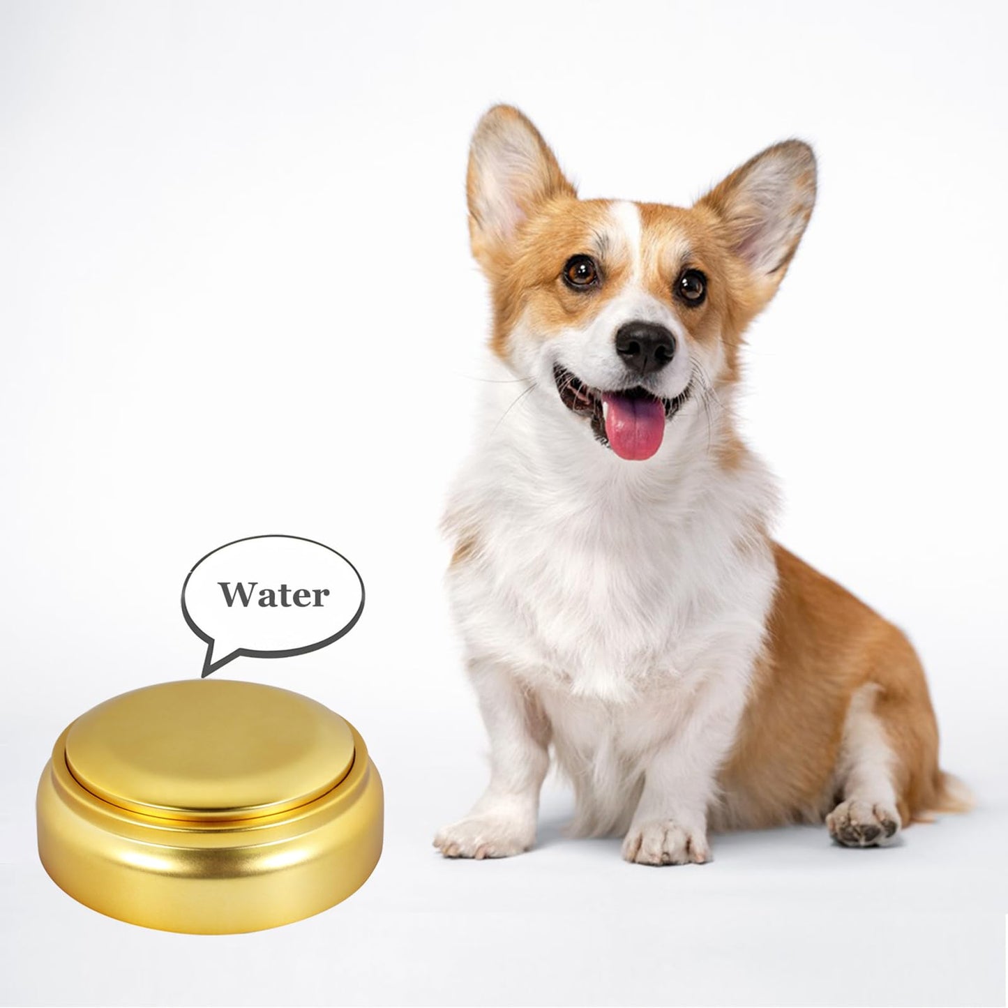 Gold Voice Custom Recordable Buttons 30 Second Voice Dog Talking Buttons Recordable and Playback Message for Classroom Fun Study Gift Voice Messages to Parents, Friends and Yourself