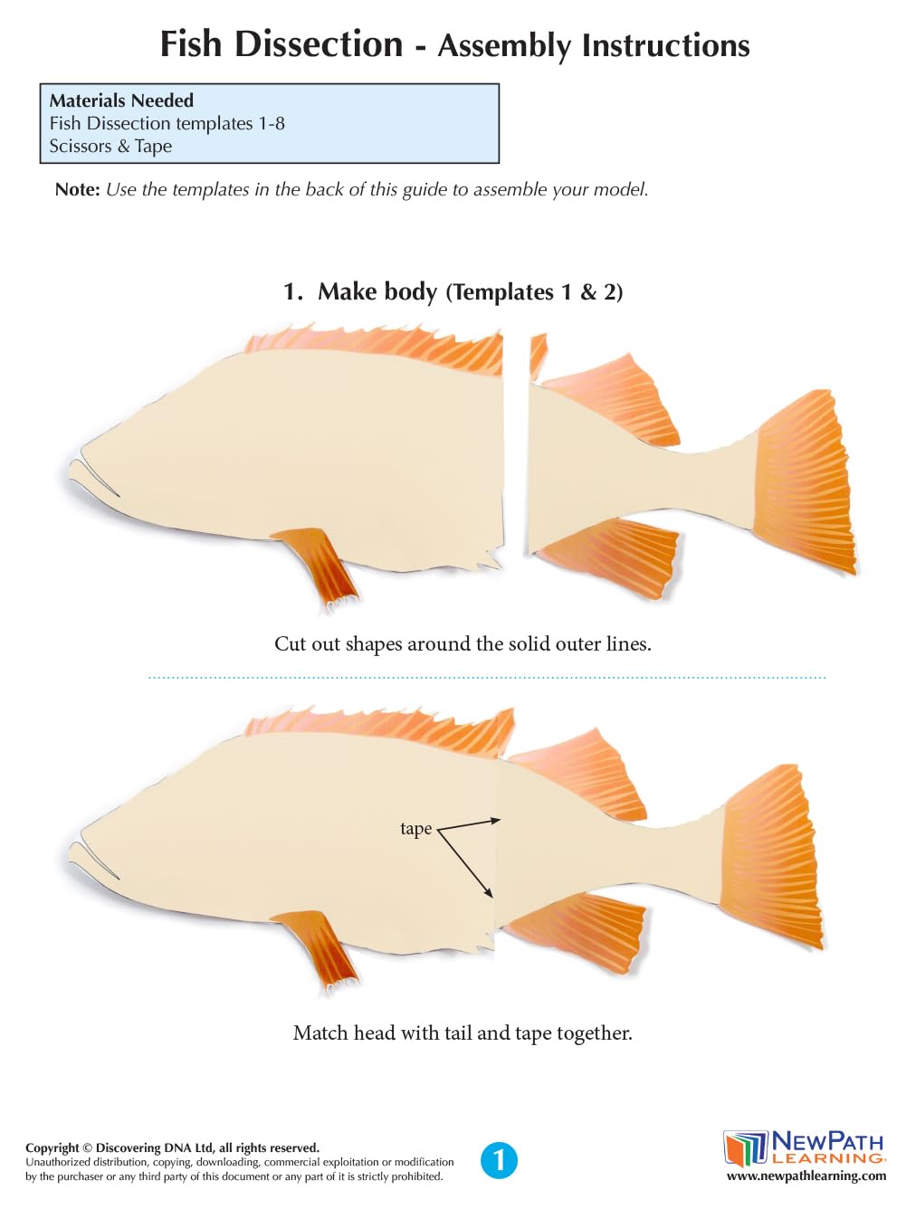 NewPath Atlantic Perch Fish Dissection 3-D Paper Model Making Kit - Individual Student Edition (17-7747)