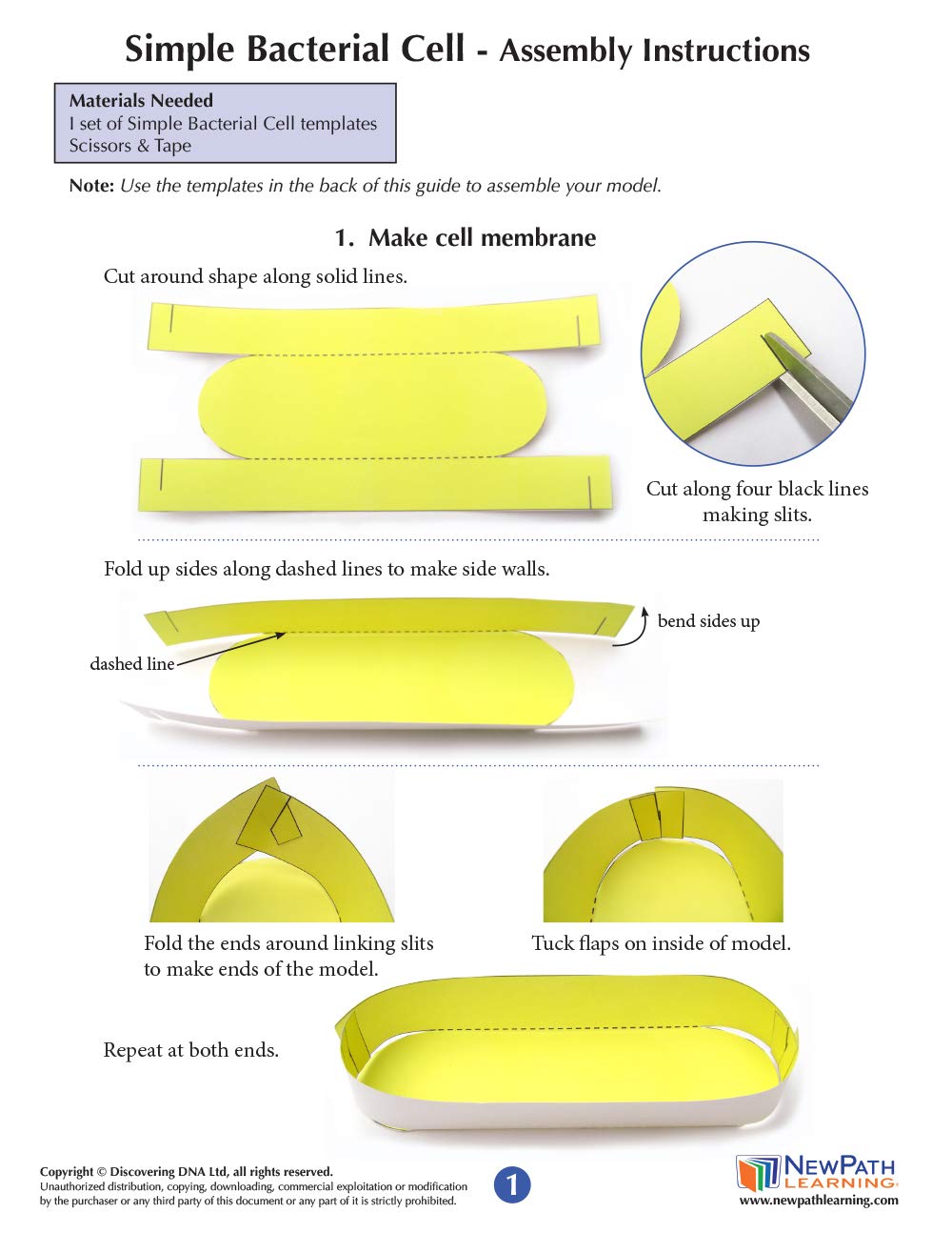 NewPath Simple Bacterial Cell 3-D Paper Model Making Kit - Individual Student Edition (24-7730)