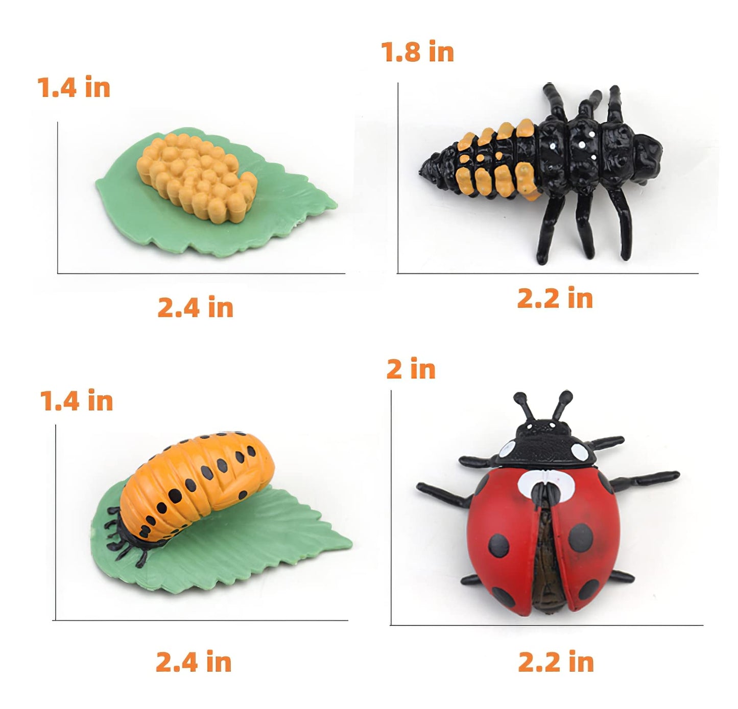 MIKNEKE Montessori Life Cycle Animal Figures with Flash Cards, Realistic Animal Figurines Toy, Educational Matching Game for 3+ Year Old Toddlers Kids (Ladybug)