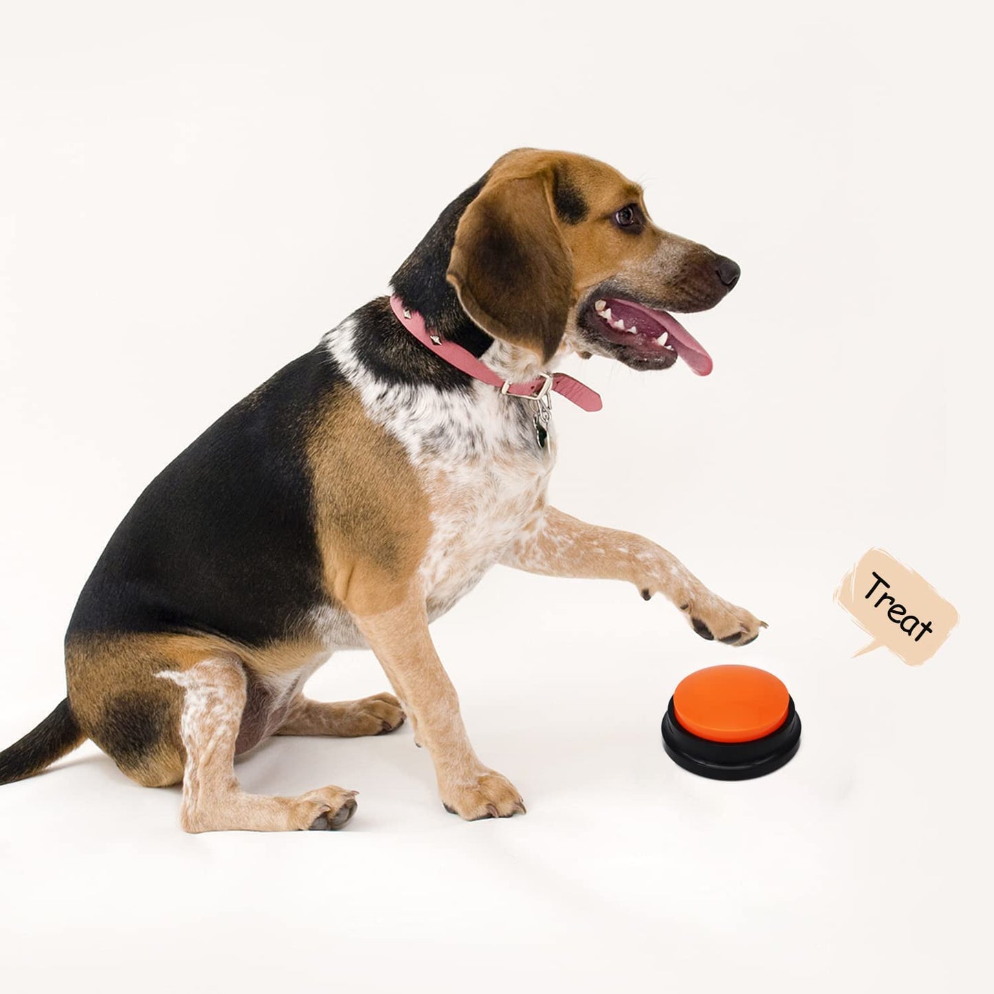 Voice Recording Button, Dog Buttons for Communication Pet Training Buzzer, 30 Second Record & Playback, Funny Gift for Study Office Home 4 Packs (Rose Red + Dark Blue + Green + Orange)