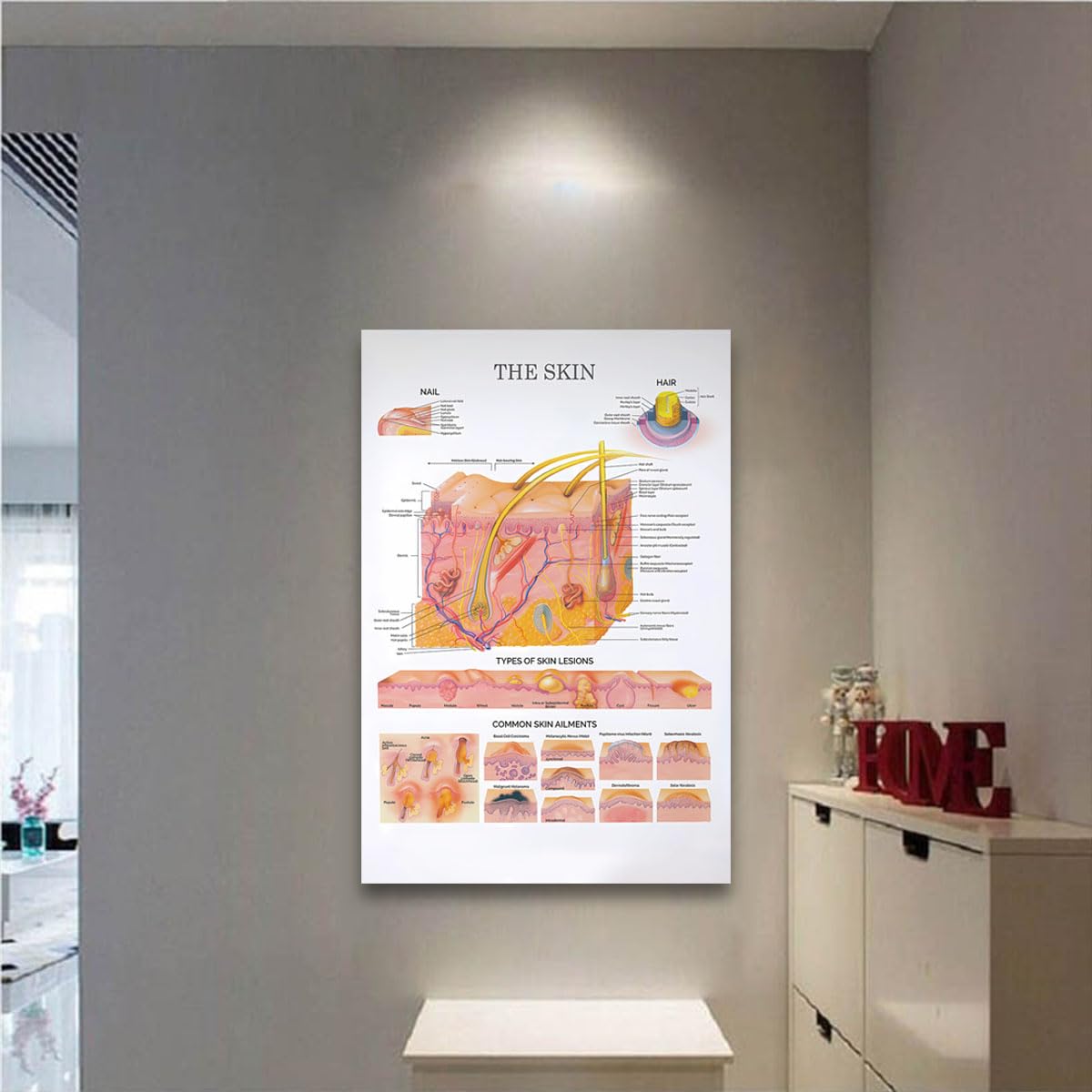 The Skin Anatomical Chart Poster – Dermatology Wall Art Aesthetician & Skincare Studio Decor Printable Educational Chart 16x24in Unframed