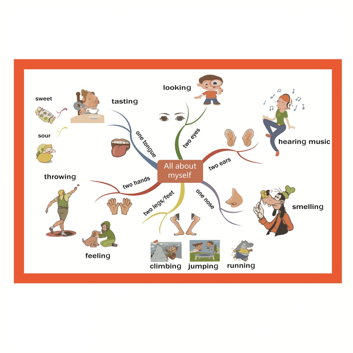 All about myself body Mind Mapping| Educational Posters for Toddlers and Kids | English Teaching Aid Tool| Handy Wall English Charts Reference for Students| Great for School Classroom Décor(17x24in)
