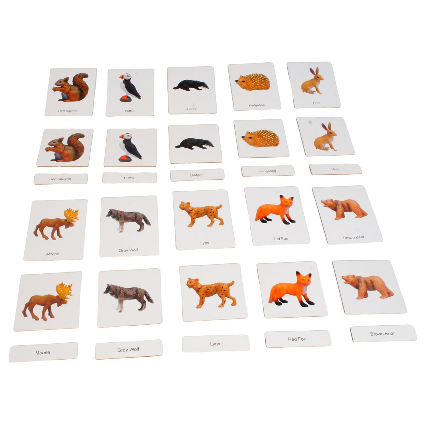 ancona European Animals, Spanish/English Bilingual, Montessori Preschool Memory Matching Game Box Set with Animal Figurines & 3-Part Cards, Early Education Toy