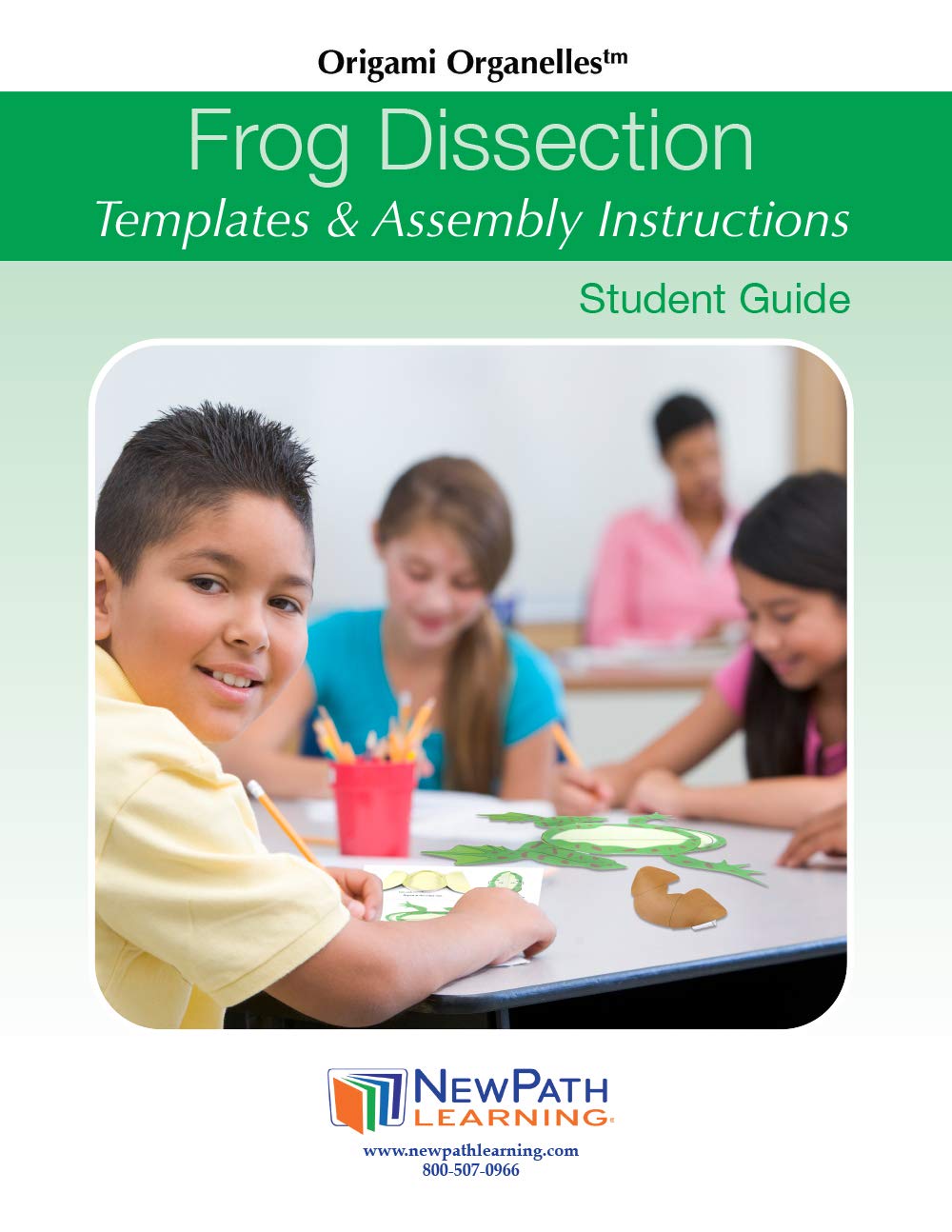 NewPath Learning Frog Dissection 3-D Paper Model Making Kit, Set/5 Full-Color, Paper Model Templates & Teacher Guide (24-7722)