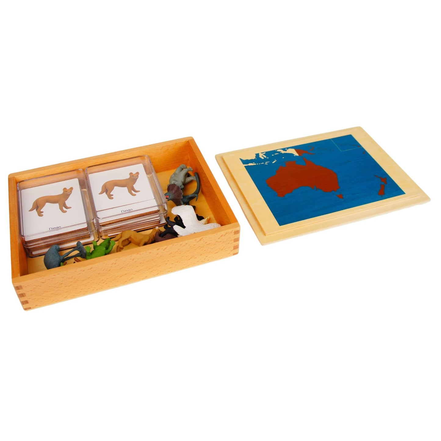 ancona Australian Animals, Spanish/English Bilingual, Montessori Preschool Memory Matching Game Box Set with Animal Figurines & 3-Part Cards, Early Education Toy