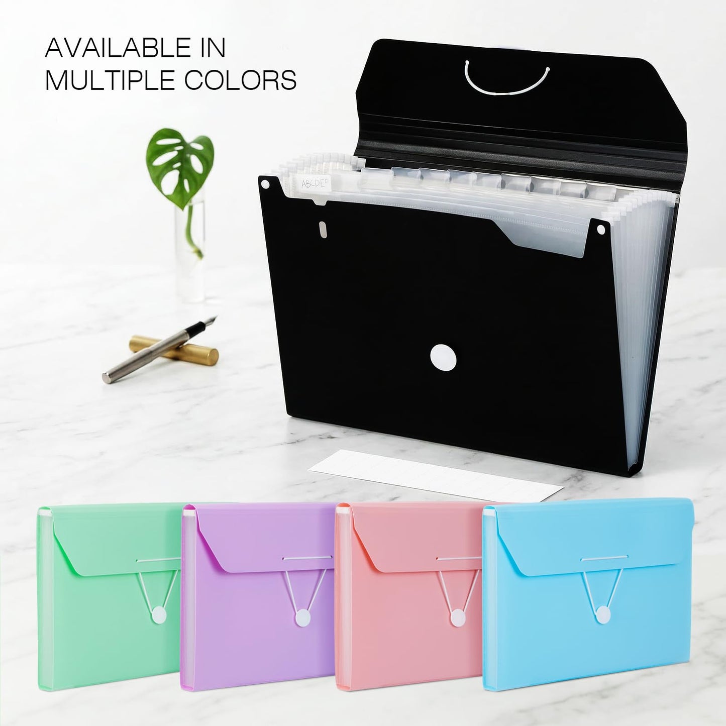 Comix Accordion File Organizer, 13 Pocket, Black