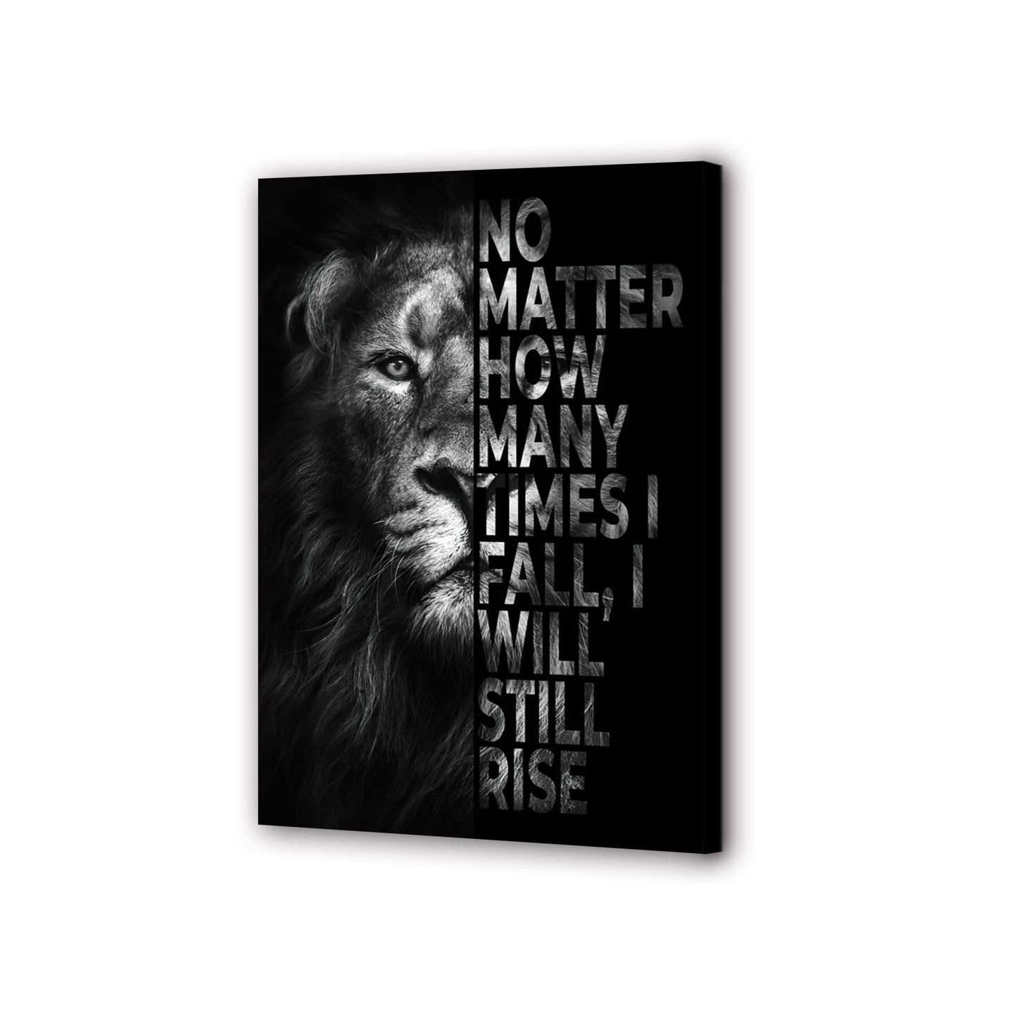 Wall Art Work-Creative Inspirational Canvas Prints, Painting Printing Art Canvas, Animal Print Motivational Wall Art Canvas, Suitable for Office, Hotel, Restaurant (Motivational-B2, 18x24 inches)