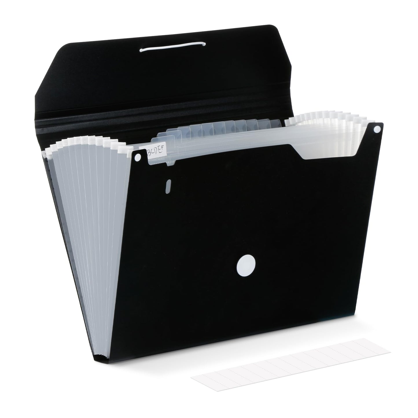 Comix Accordion File Organizer, 13 Pocket, Black