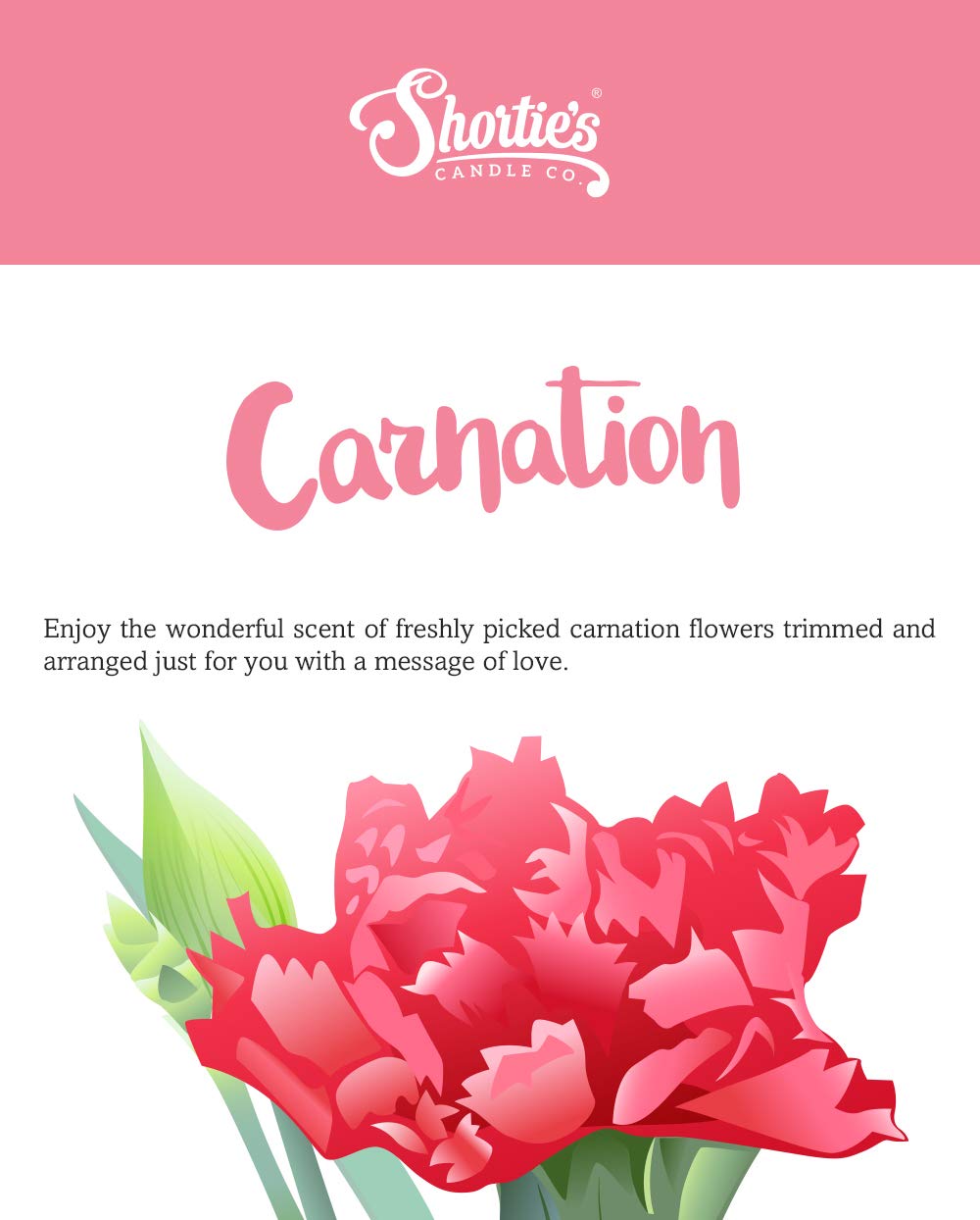 Shorties Candle Company Pure Carnation Tealight Candles - Highly Scented, 12 Pack, Pink, Model 45024