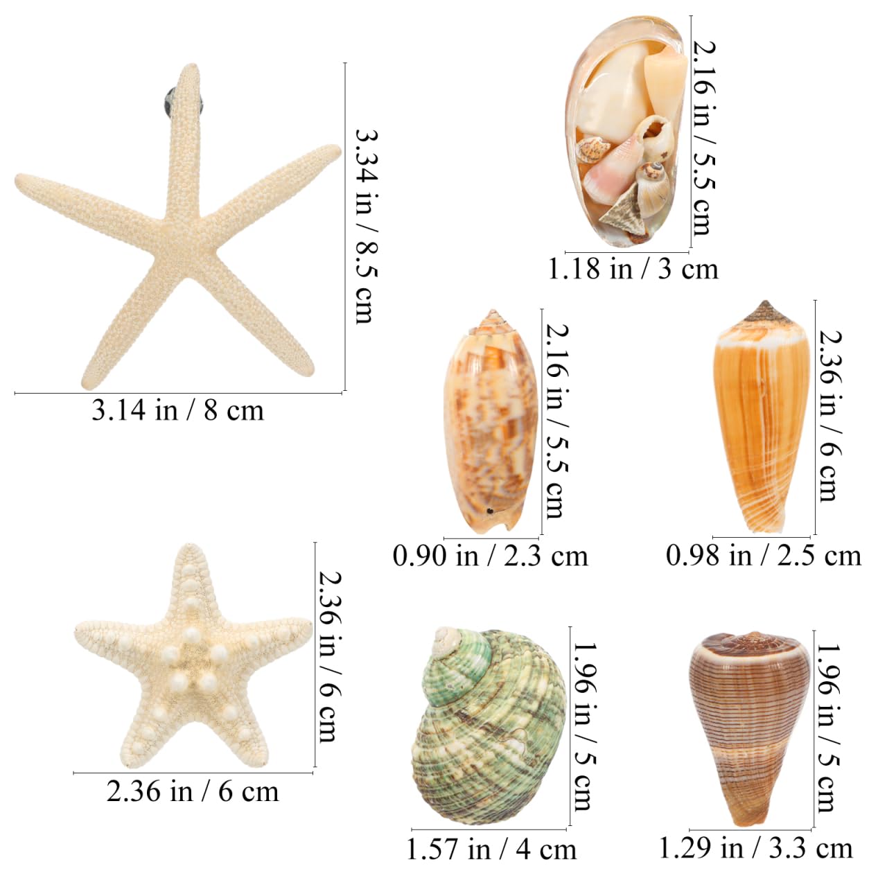 NUOBESTY Fridge Magnets 3D Seashell & Star Fish Set, Refrigerator Magnets with Magnetic Backing Coastal Decor for Kitchen Office Classroom Whiteboard Locker (7 Pcs Random Style)