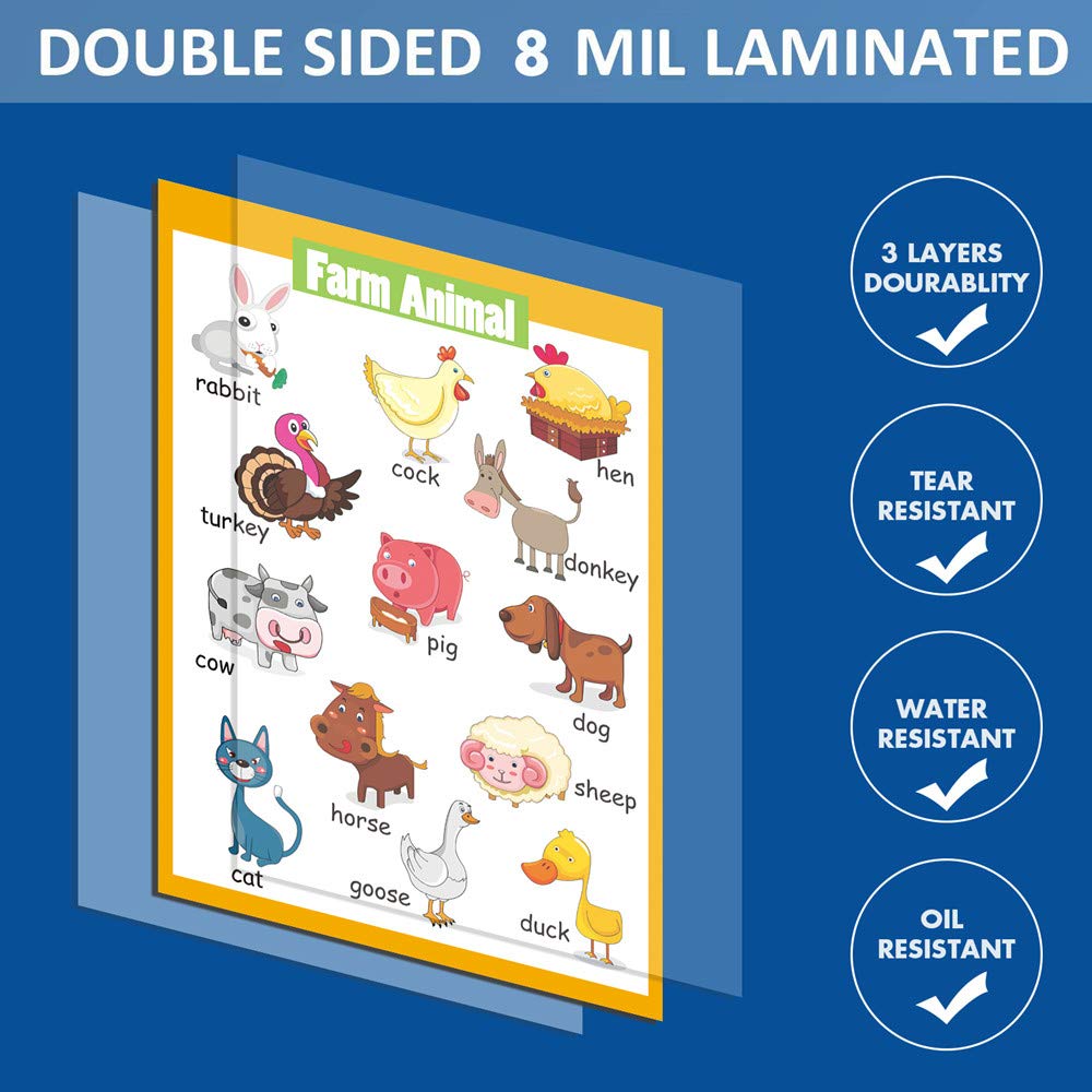 4 Pieces Laminated Educational Preschool Posters for Toddlers| Educational Wall Charts | School classroom Posters | Class decorations for Kindergarten- Sea Animal,Farm Animal,Wild Animal, Insect.